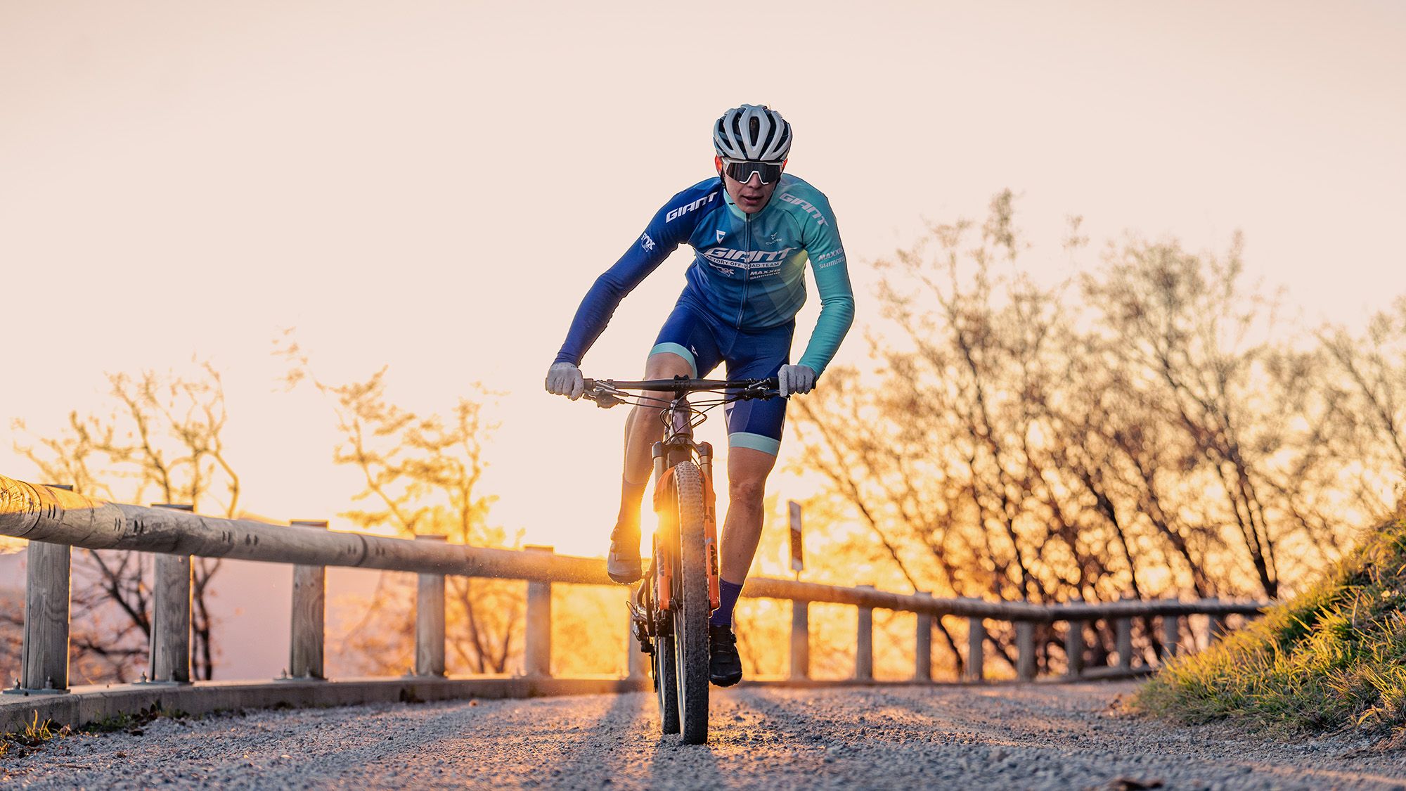 Ein Mountainbiker auf einem Almweg.