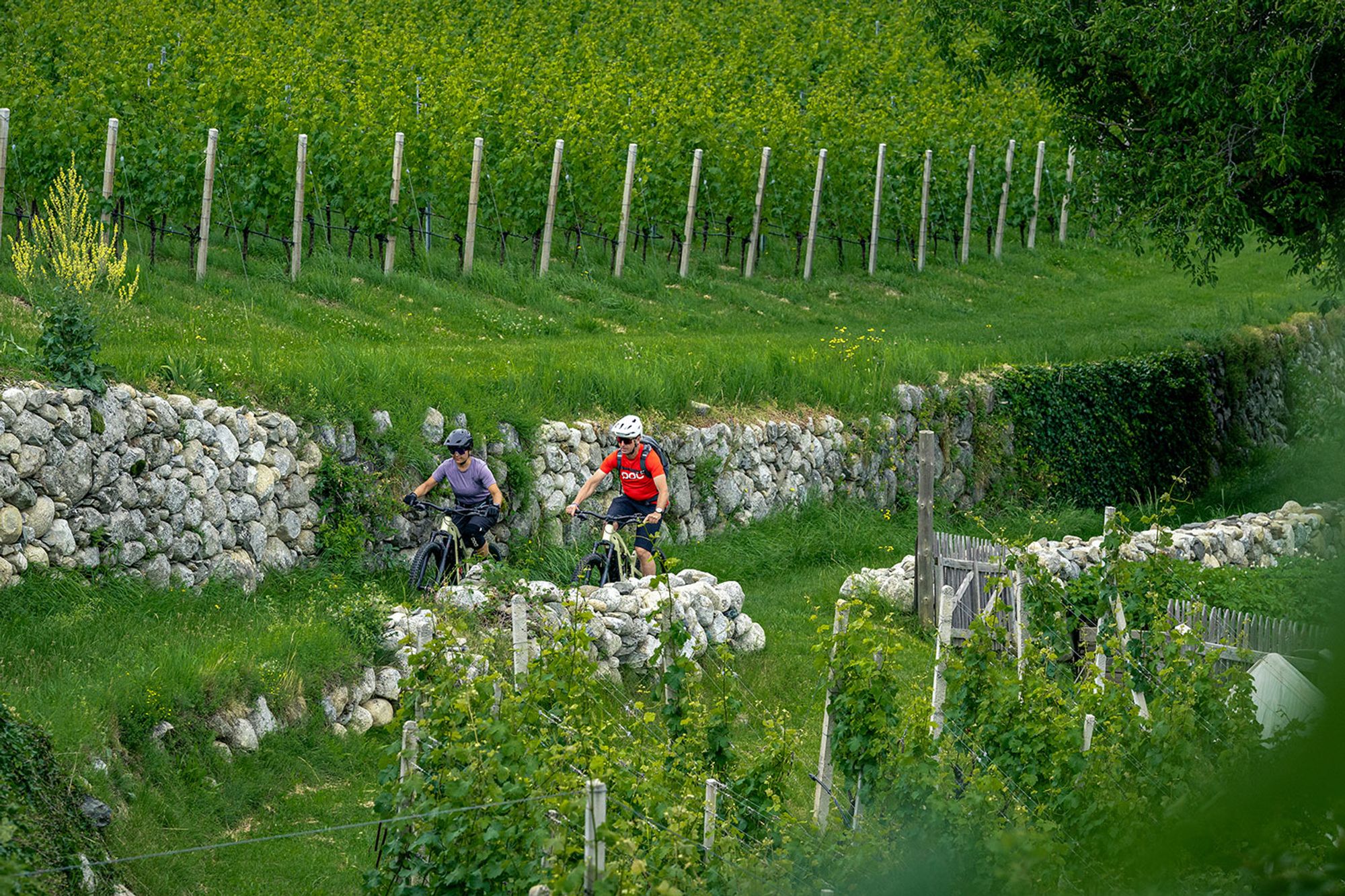 Wegweiser Brixen - MTB Summer in the City