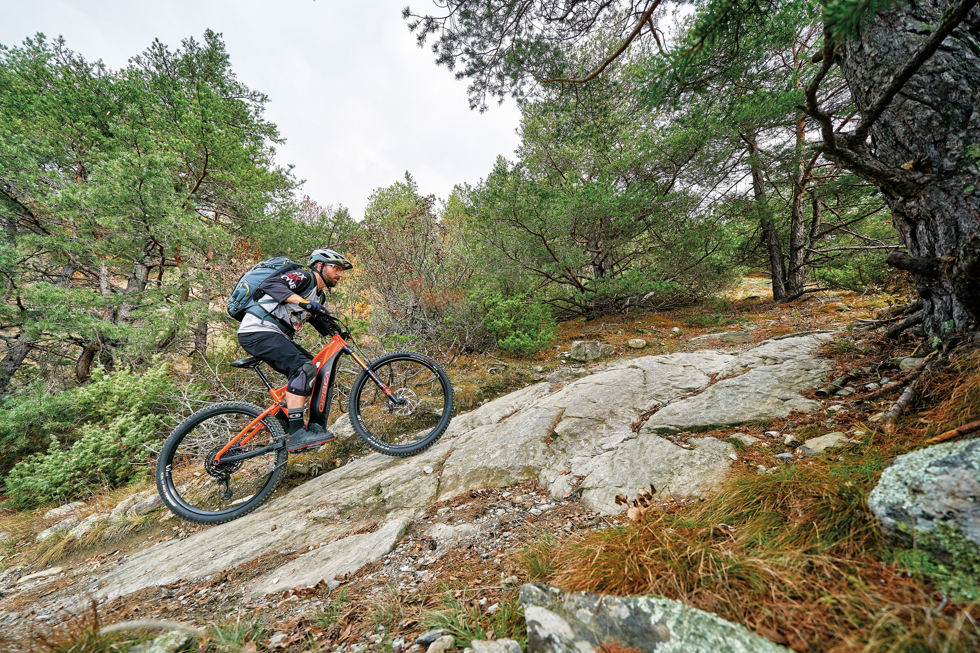 Orbea Wild FS10 29 Orbea Wild FS10 29