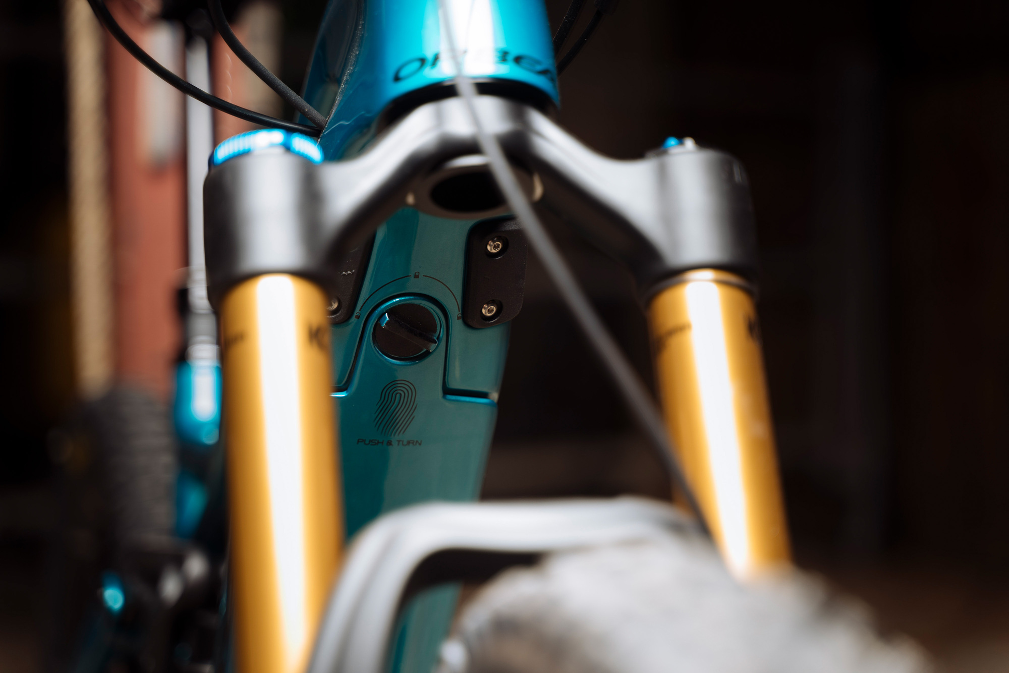 Erster Test: Orbea Wild FS M-LTD Erster Test: Orbea Wild FS M-LTD