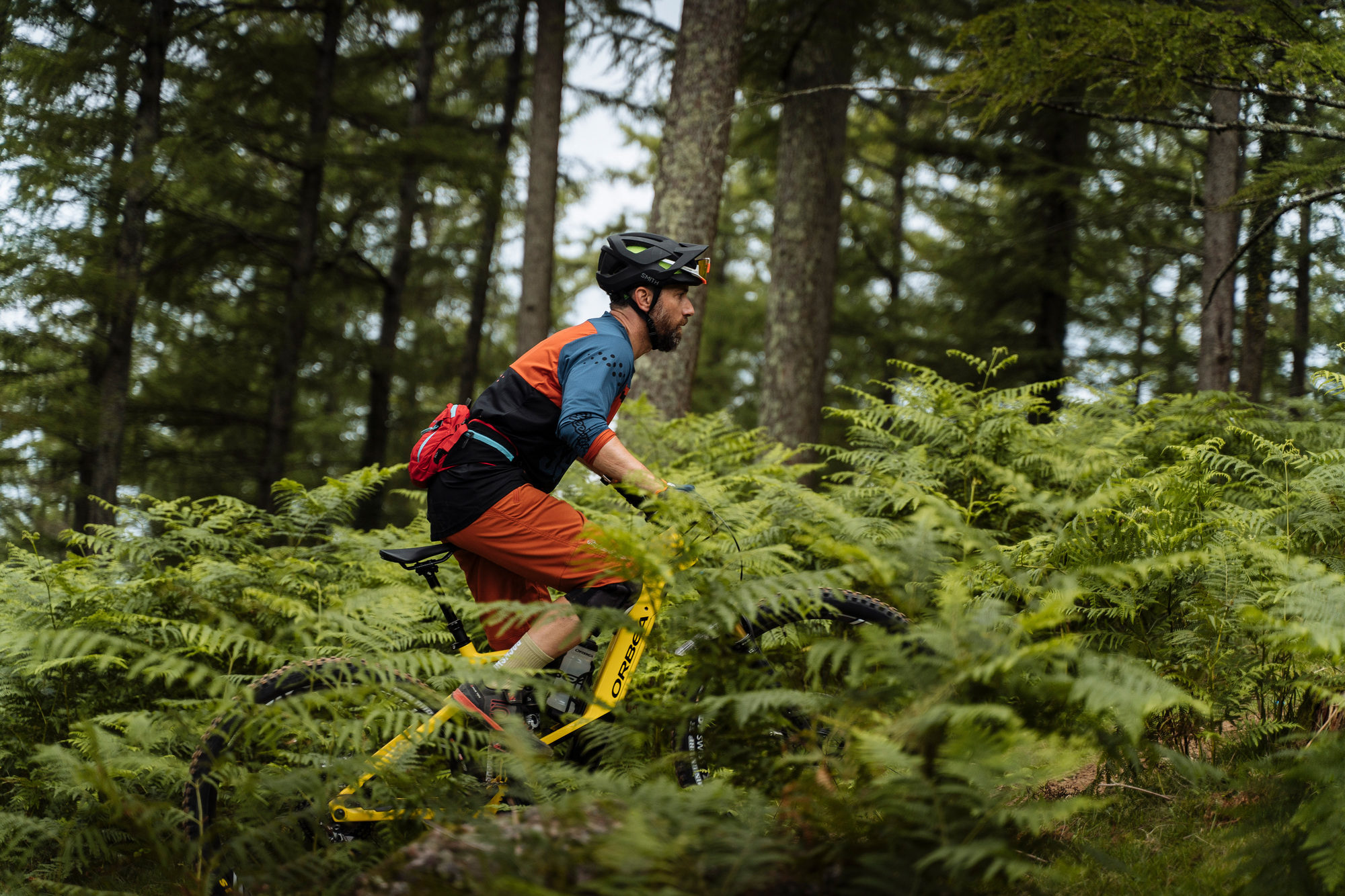 Erster Test: Orbea Wild FS M-LTD Erster Test: Orbea Wild FS M-LTD