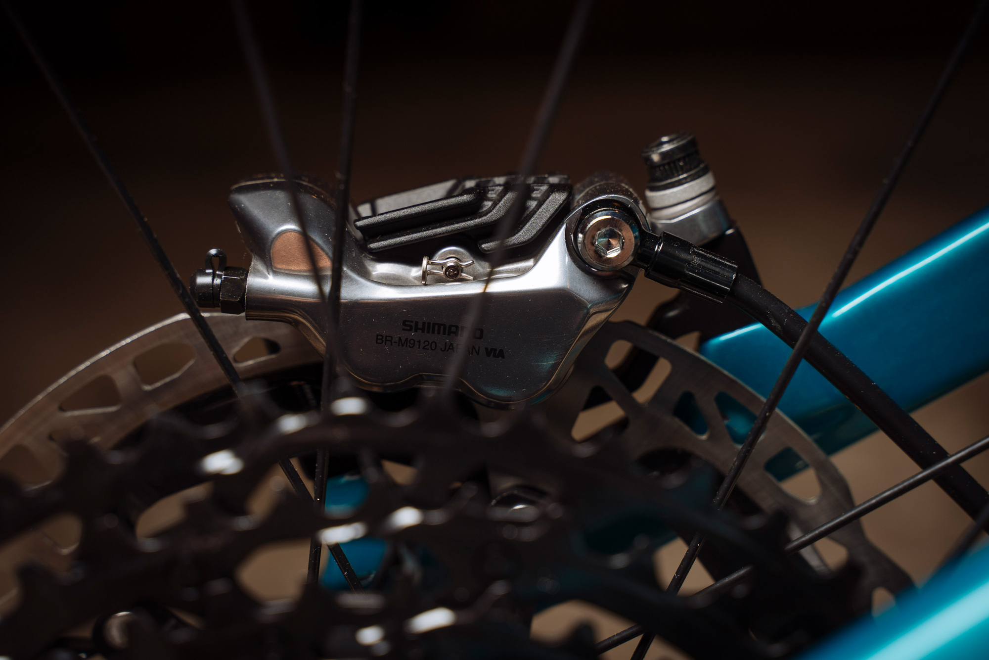 Erster Test: Orbea Wild FS M-LTD Erster Test: Orbea Wild FS M-LTD