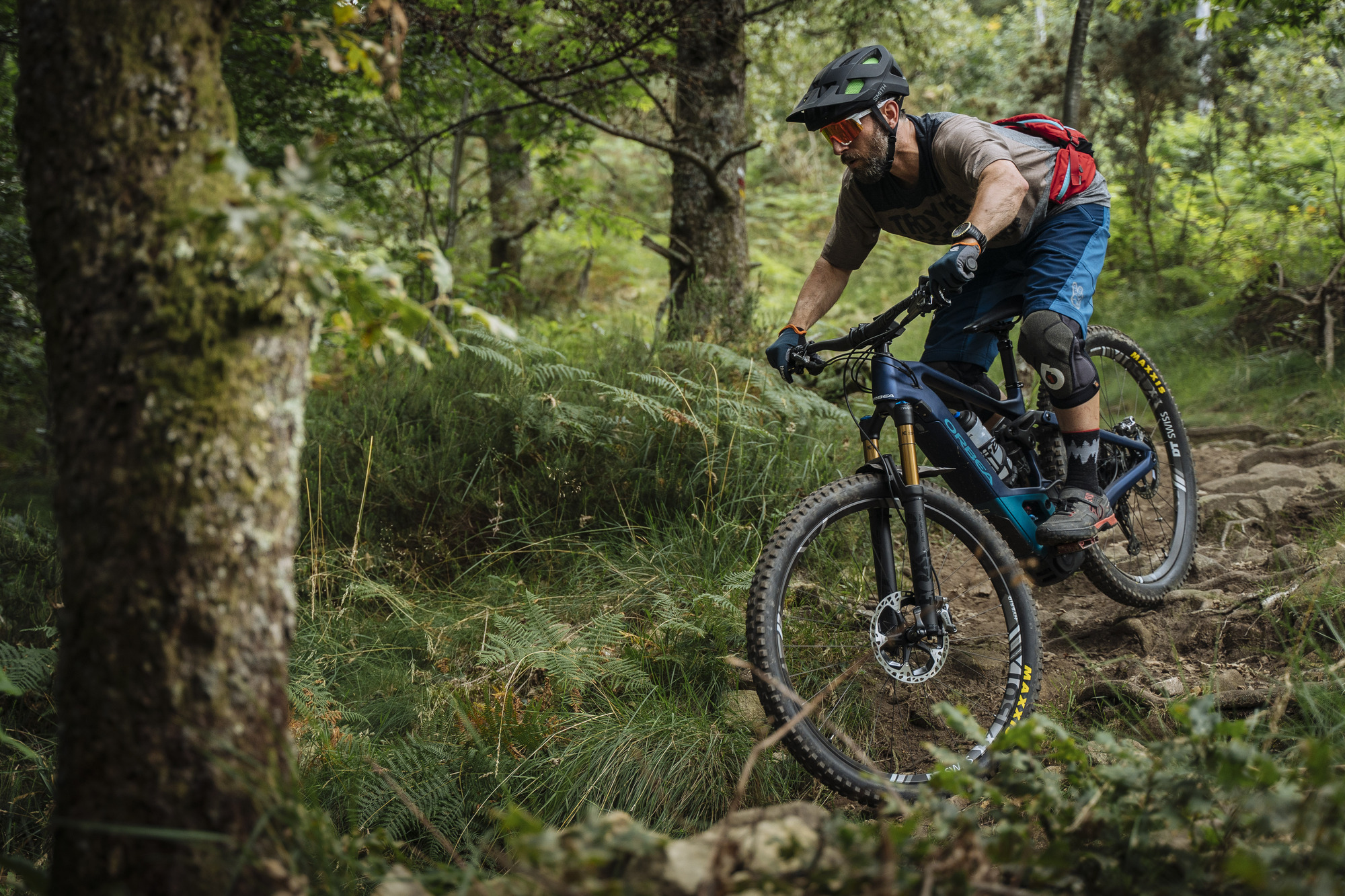 Erster Test: Orbea Wild FS M-LTD Erster Test: Orbea Wild FS M-LTD