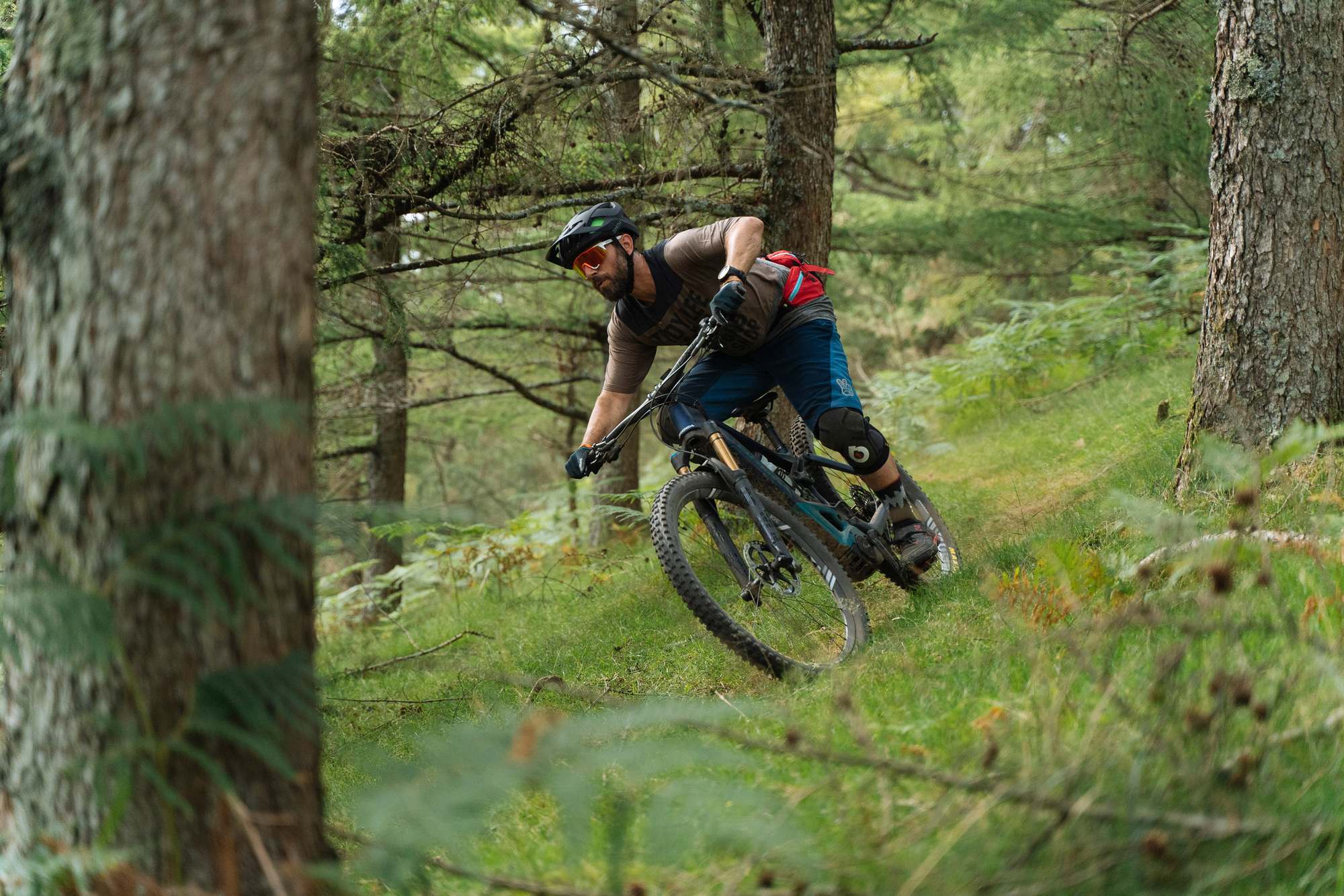 Erster Test: Orbea Wild FS M-LTD Erster Test: Orbea Wild FS M-LTD