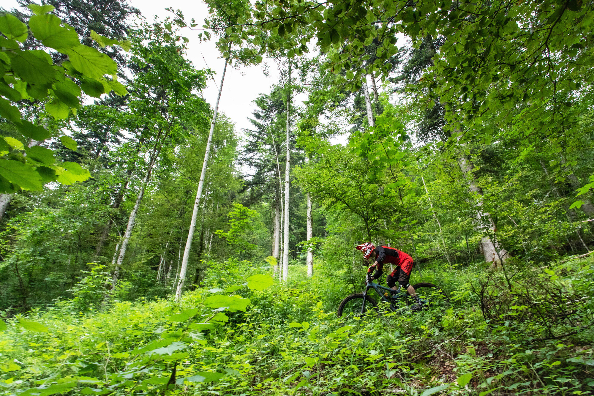 Bold Enduro Helveti’Cup Alle Rennen 2020