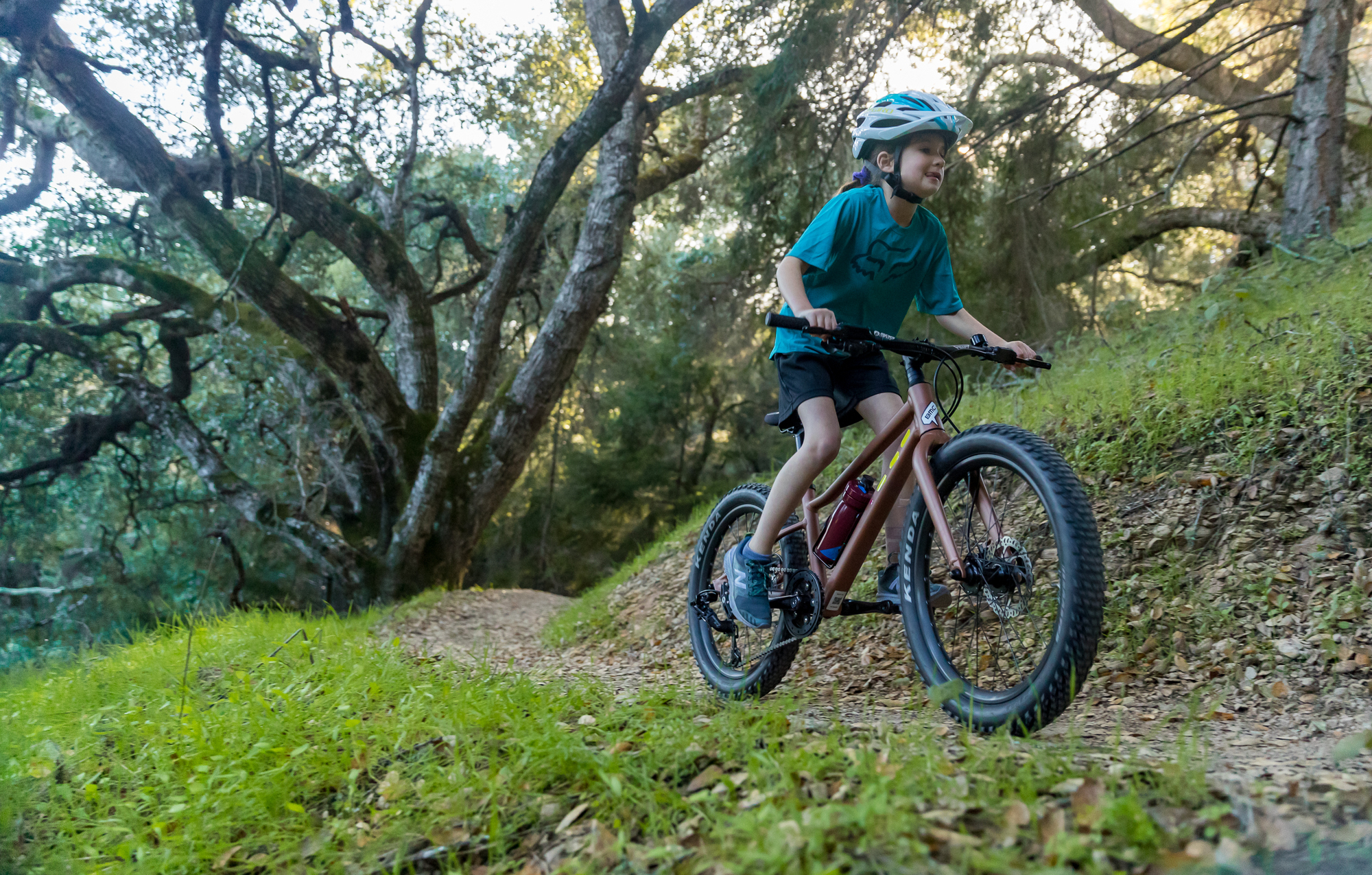 Minishredder: BMC Blast Minishredder: BMC Blast