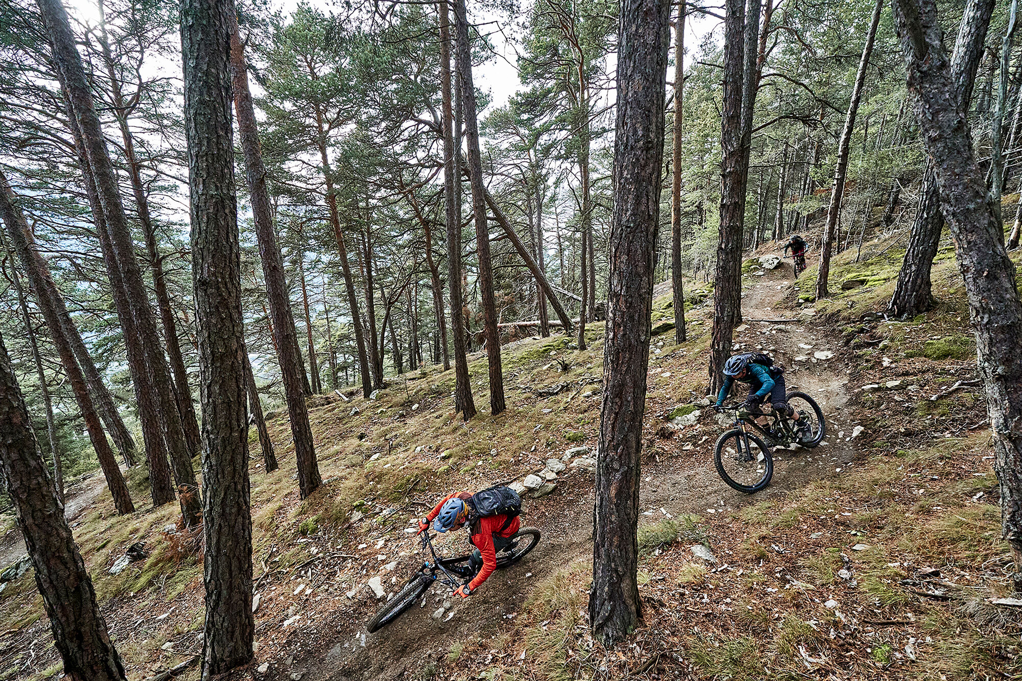 7 Bikes im Test: die schnellsten Enduros und Trailbikes 2020 7 Bikes im Test: die schnellsten Enduros und Trailbikes 2020