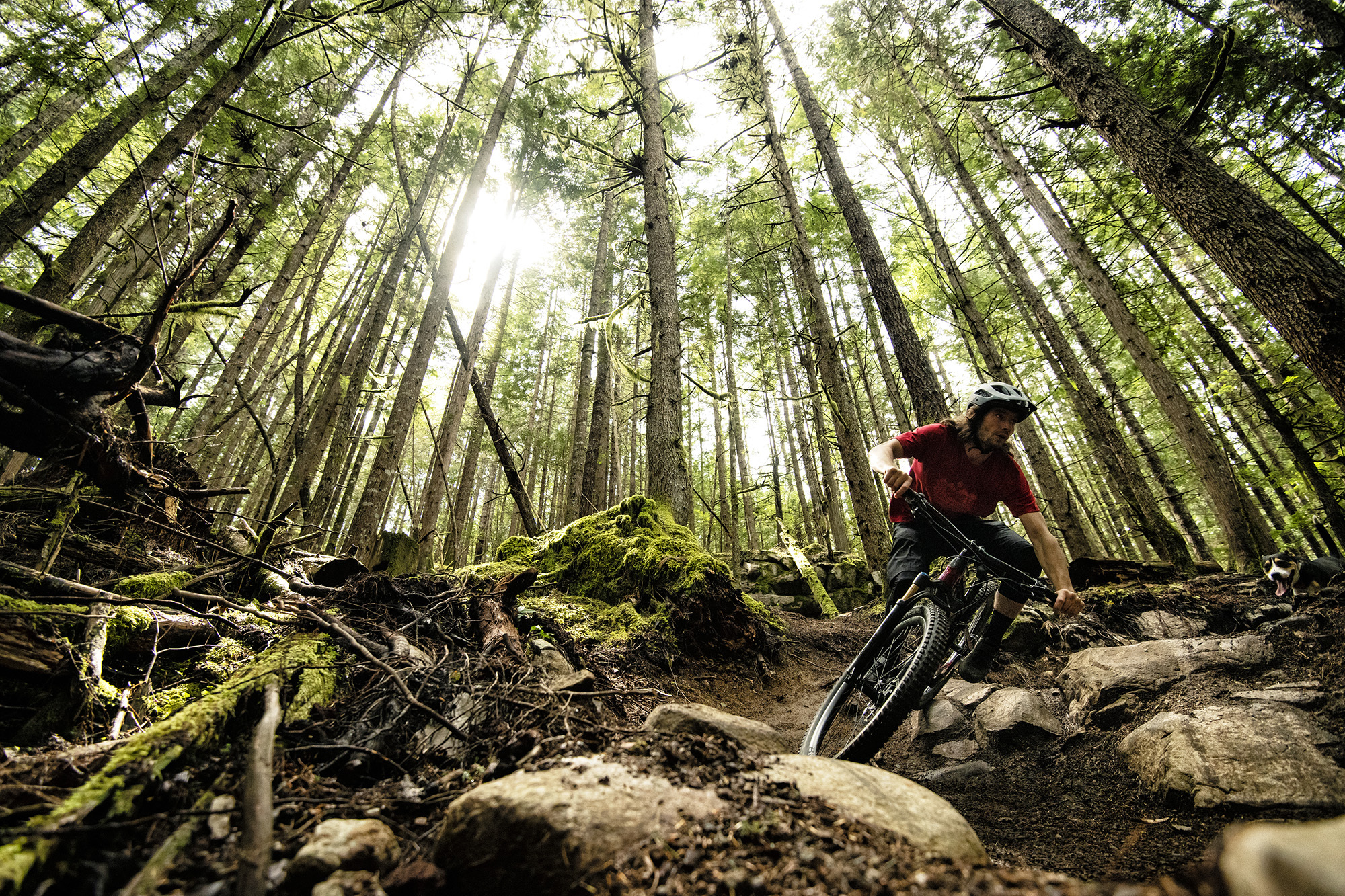Bontrager Carbon-Laufräder: neue Line Pro und Line Elite Serie Bontrager Carbon-Laufräder: neue Line Pro und Line Elite Serie