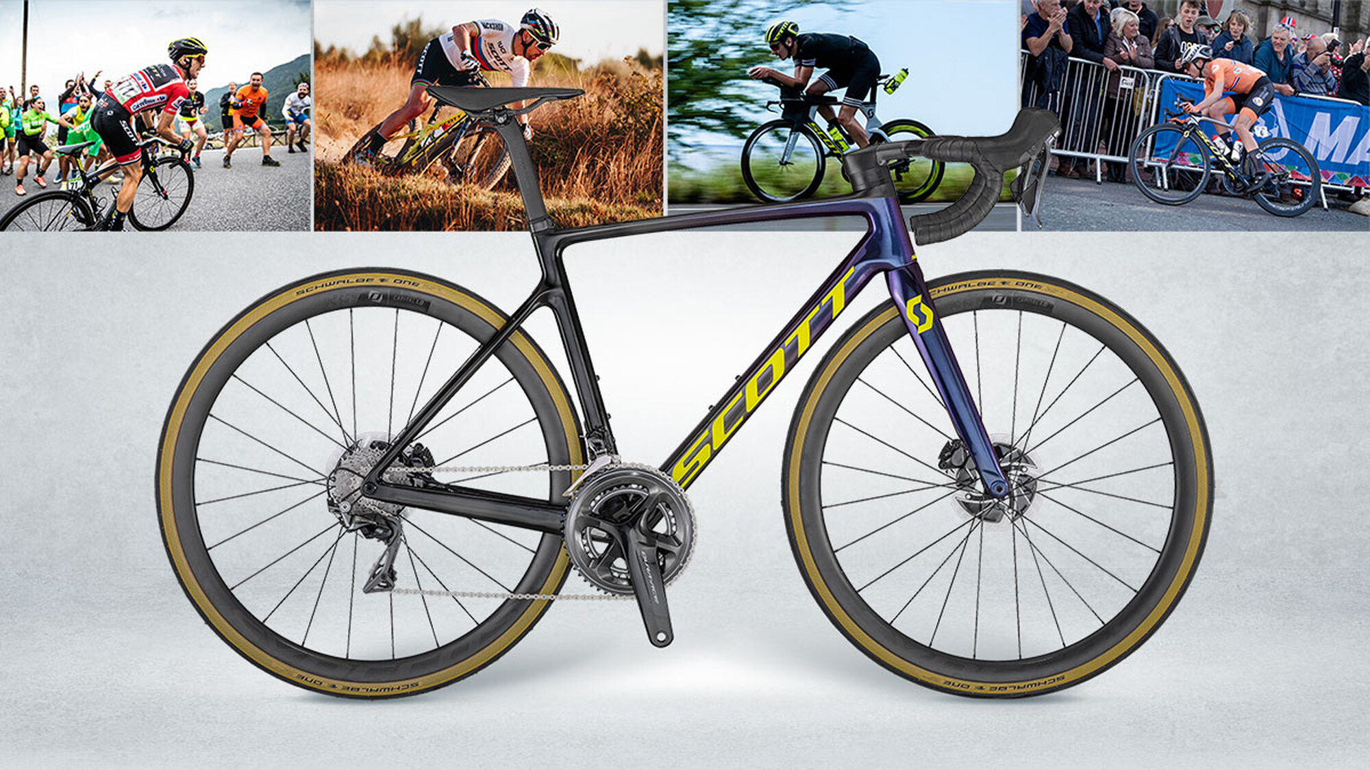 Scott-Woche bei Zwift: Digitaler Ride mit Schurter & Co.