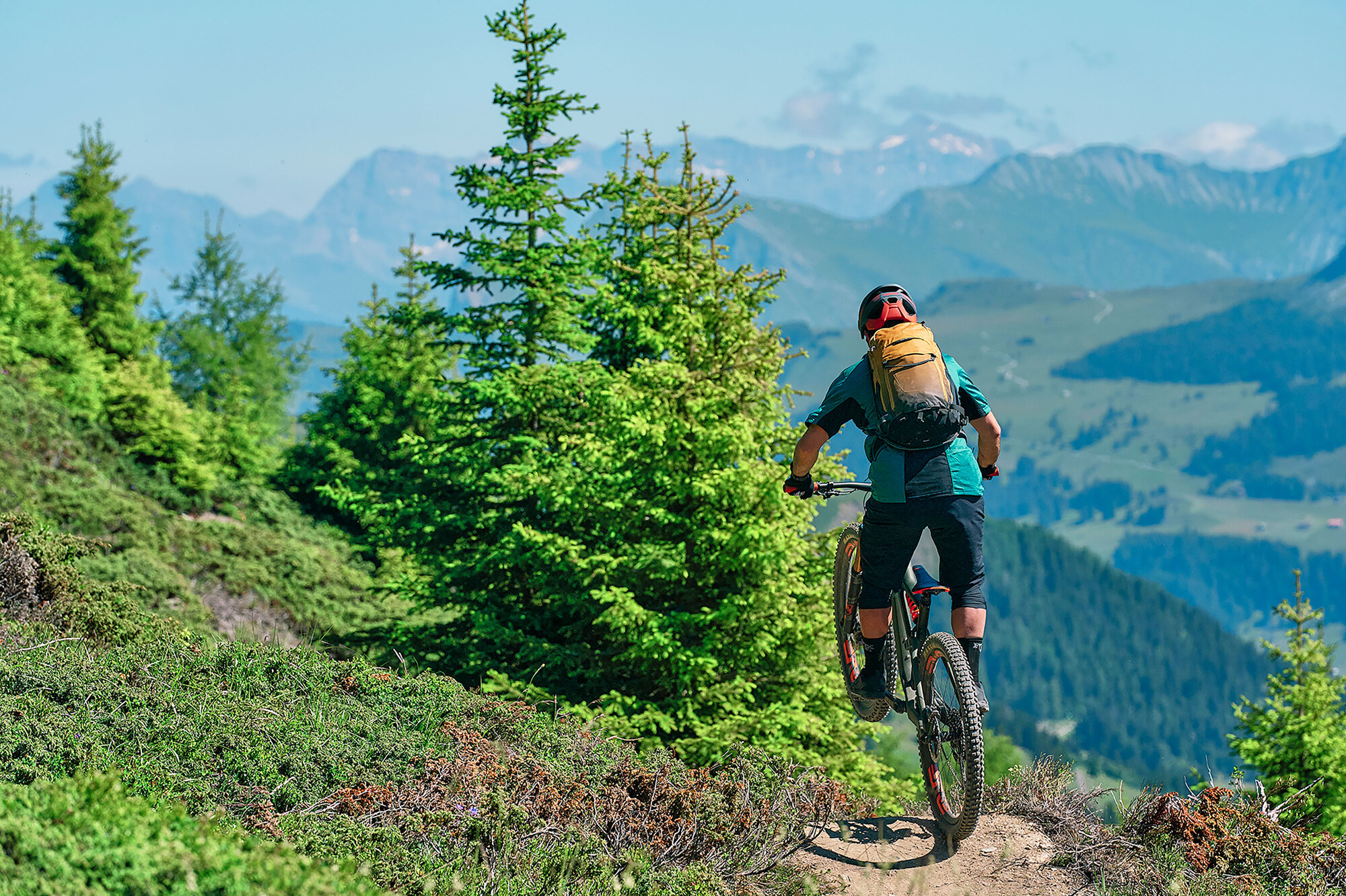 Biketest 2020: 7 edle Allzweckwaffen Biketest 2020: 7 edle Allzweckwaffen