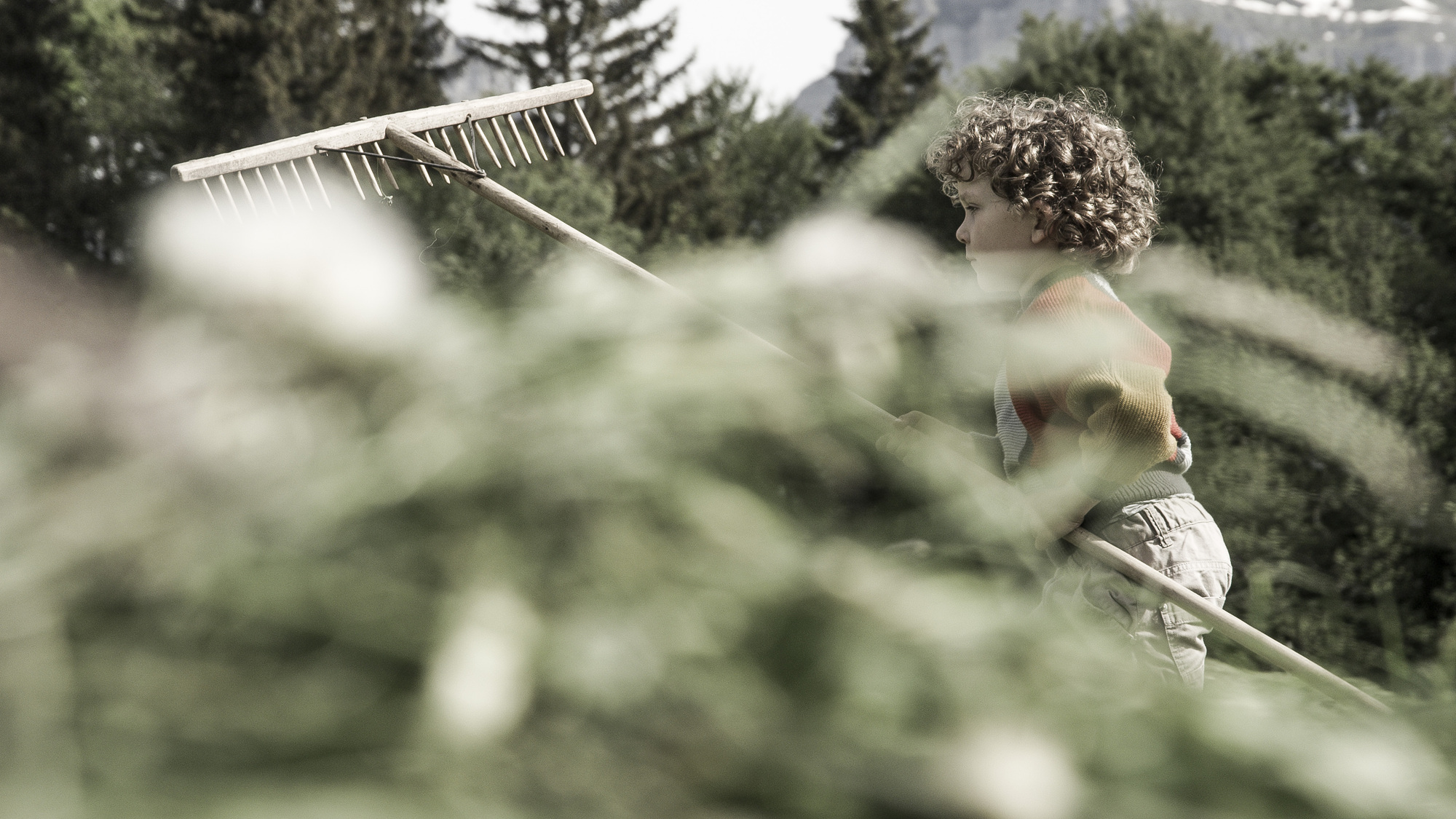 Filmpremiere René Wildhaber – Born to Ride
