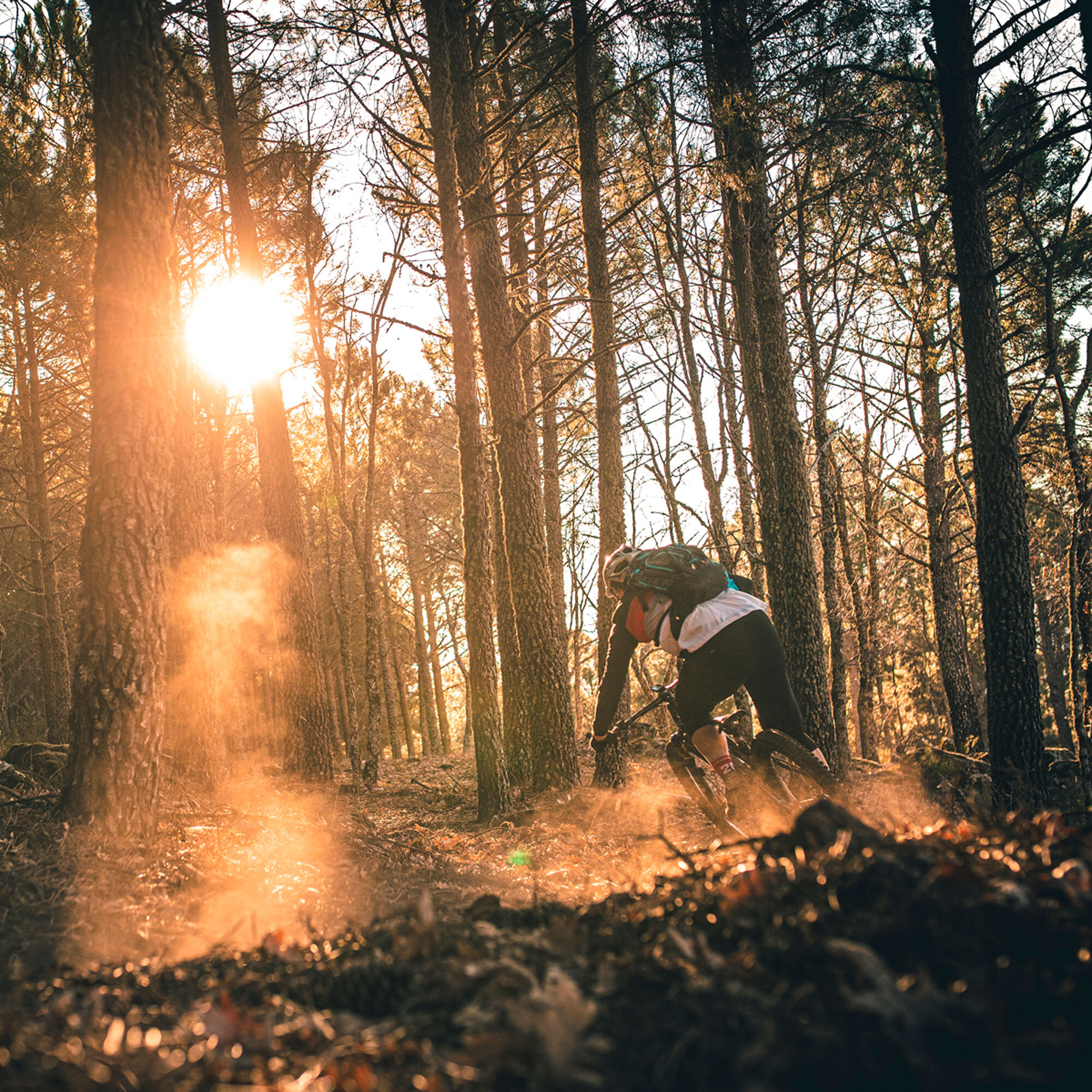 Mondraker MIND Ein Telemetriesystem für Biker Mondraker MIND Ein Telemetriesystem für Biker