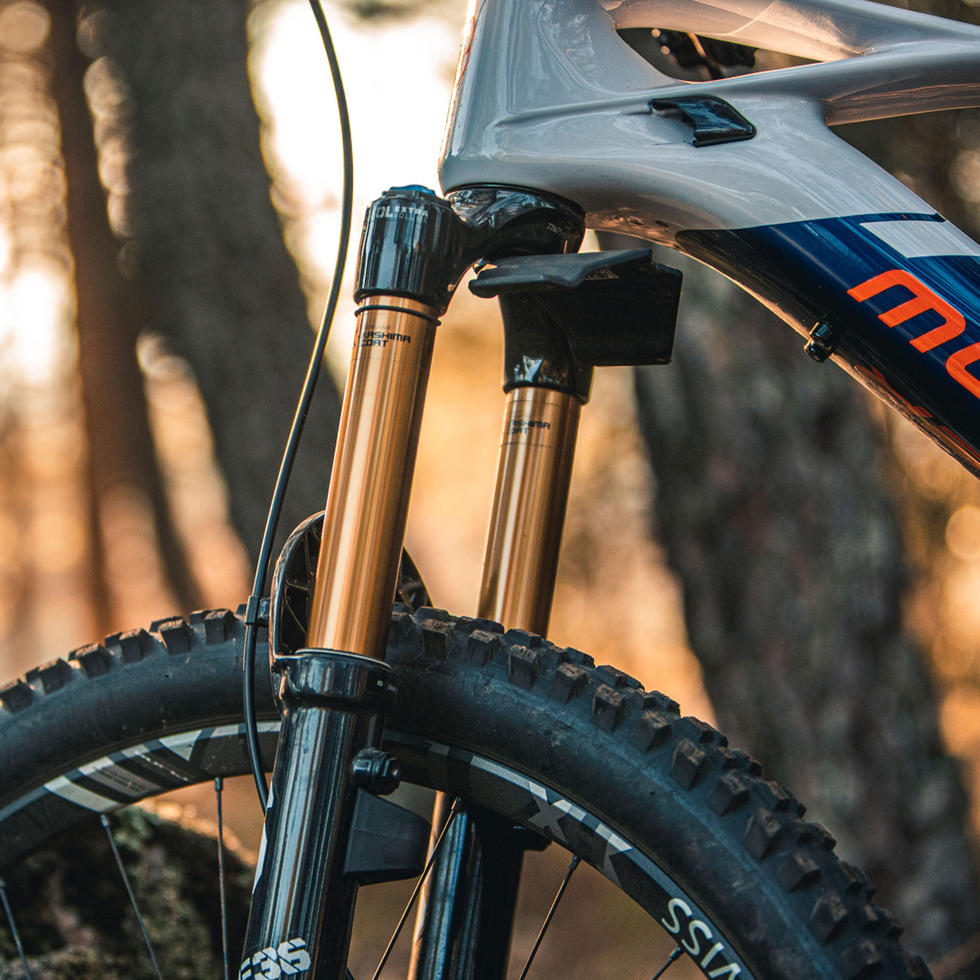 Mondraker MIND Ein Telemetriesystem für Biker Mondraker MIND Ein Telemetriesystem für Biker