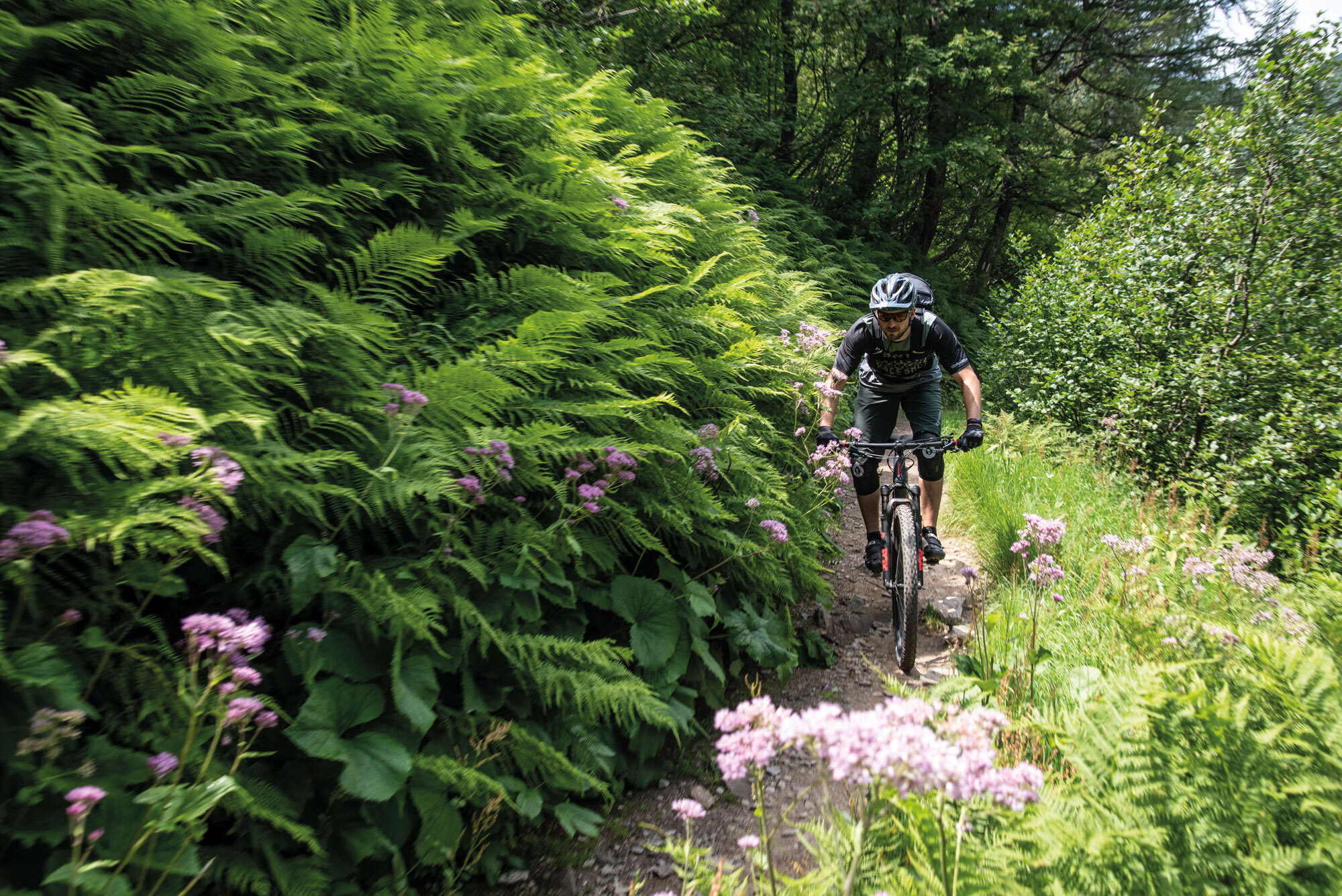 Route 65 Raue Trails im Alto Ticino Route 65 Raue Trails im Alto Ticino