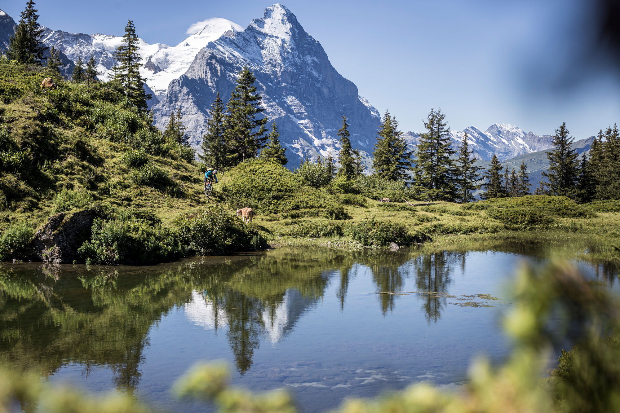 Panorama MTB-Touren Jungfrau Region Panorama MTB-Touren Jungfrau Region