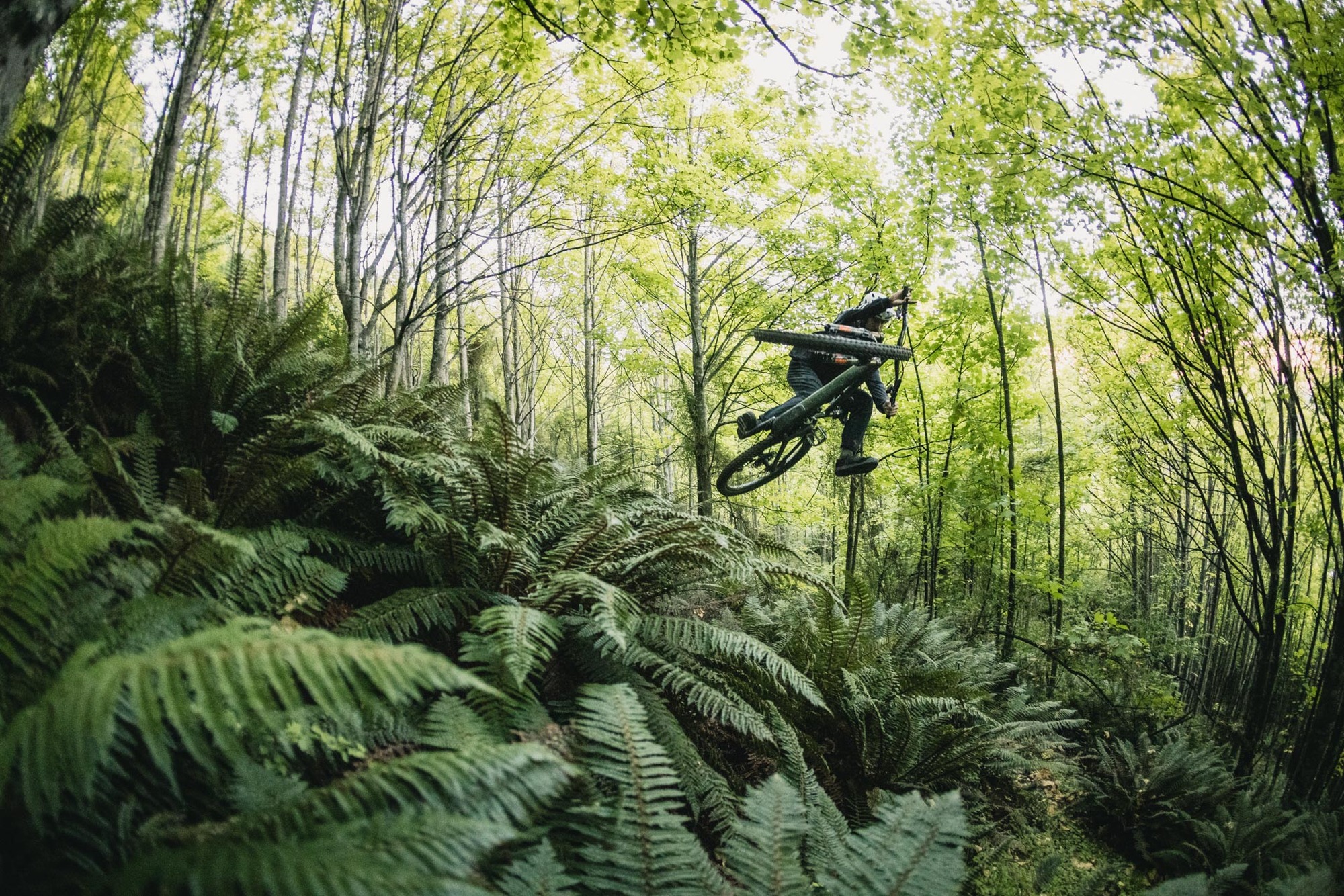 Neues Specialized Kenevo SL: leicht und schnell