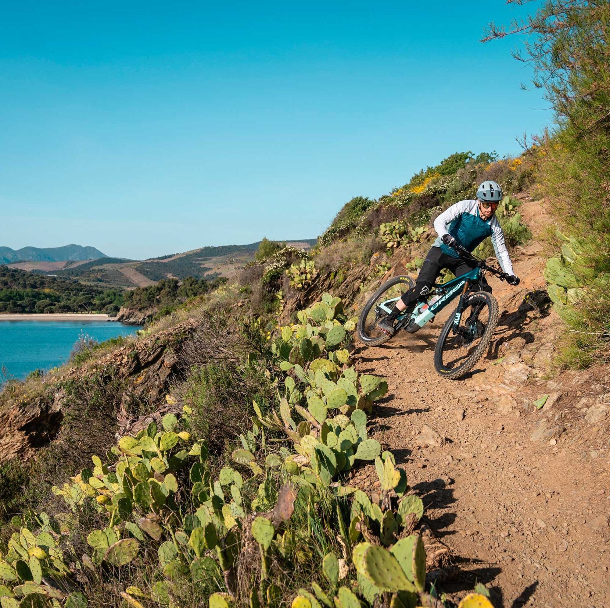 Take a Lap: Damien Oton Take a Lap: Damien Oton