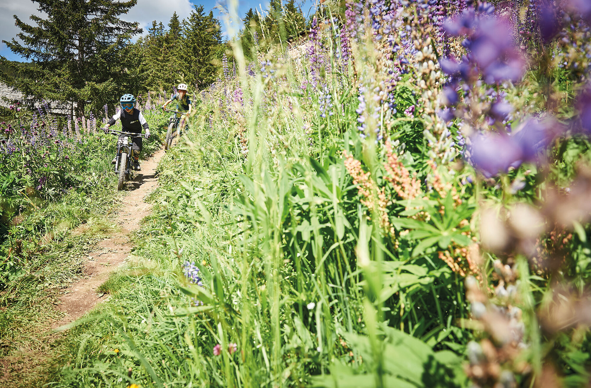 Mountainbiken mit Kids: Hier steppt der Bär Mountainbiken mit Kids: Hier steppt der Bär