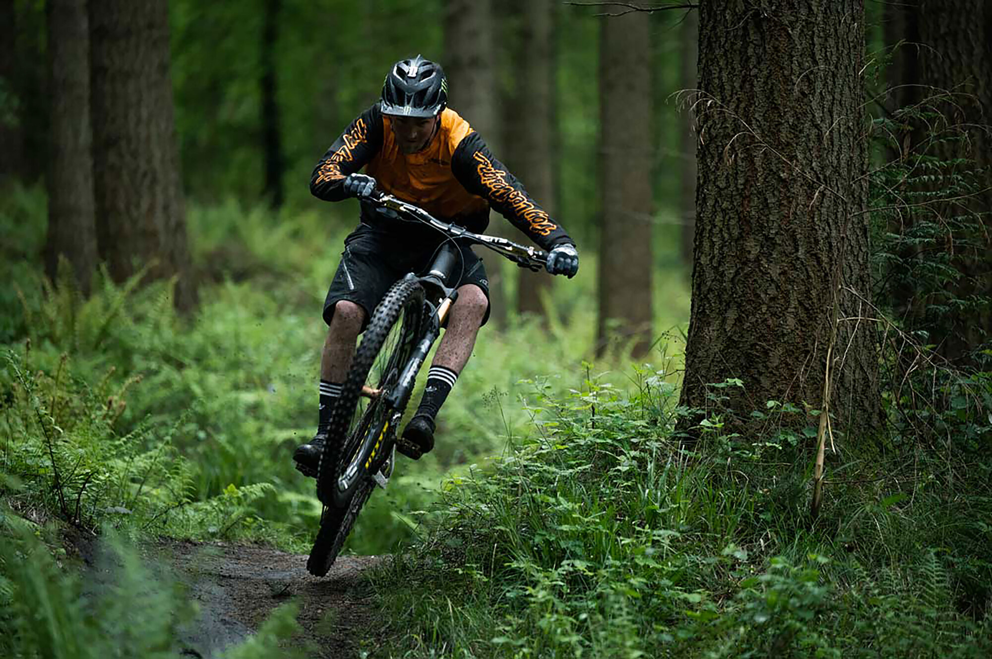 Fast is Fun: Scott zeigt neues Spark RC und Spark 900 Fast is Fun: Scott zeigt neues Spark RC und Spark 900