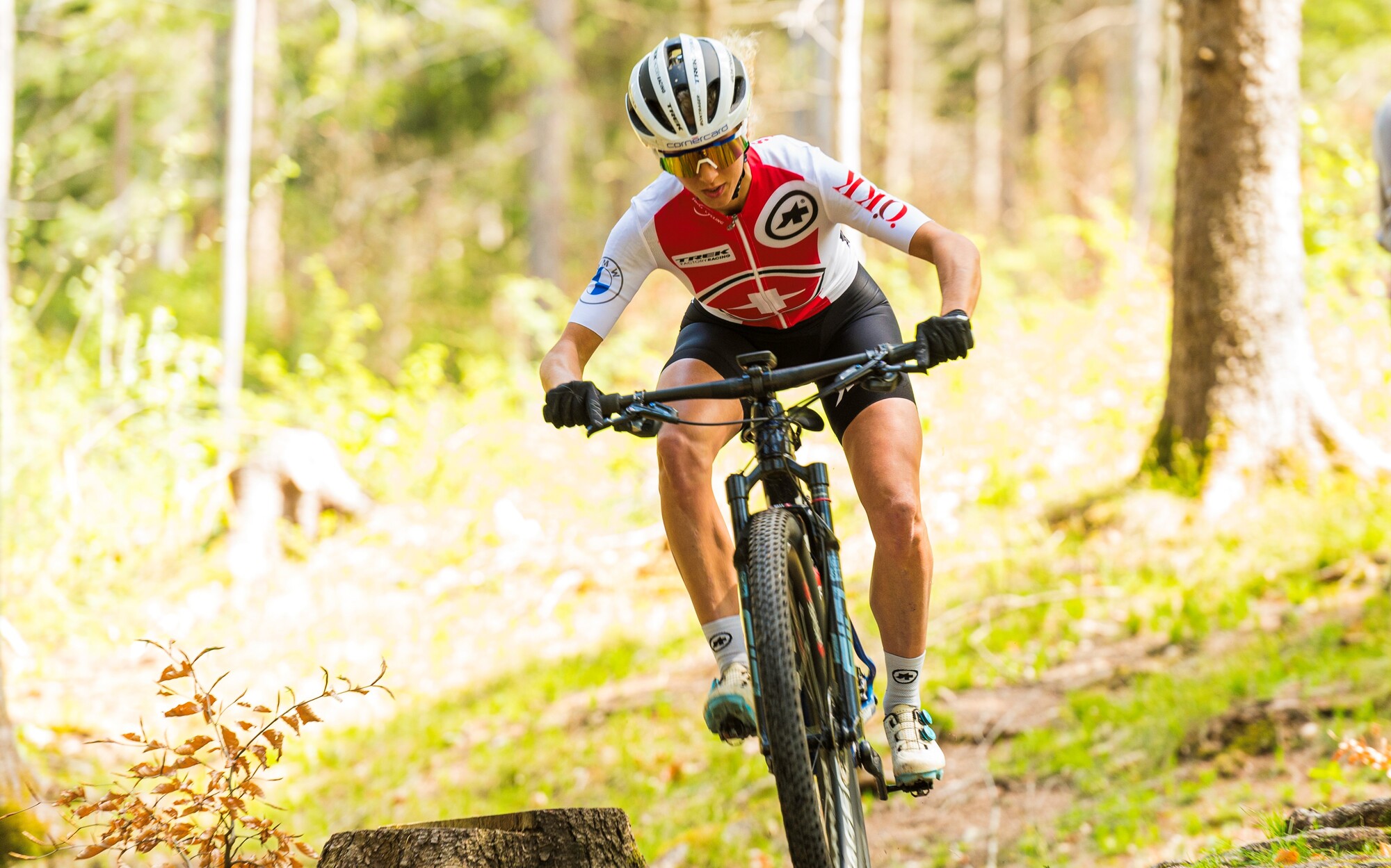 Medaillenregen   im August?