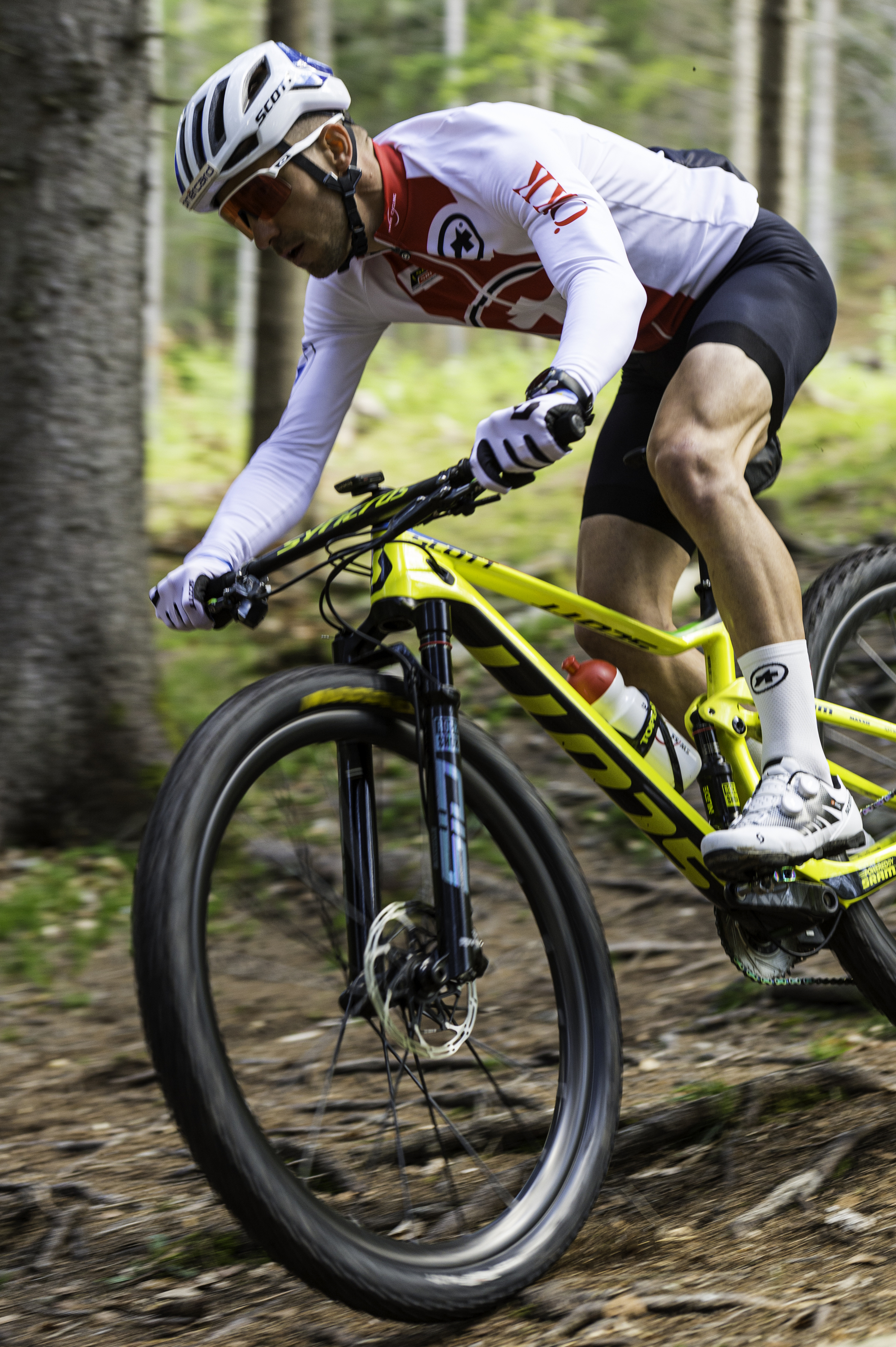 Medaillenregen   im August?