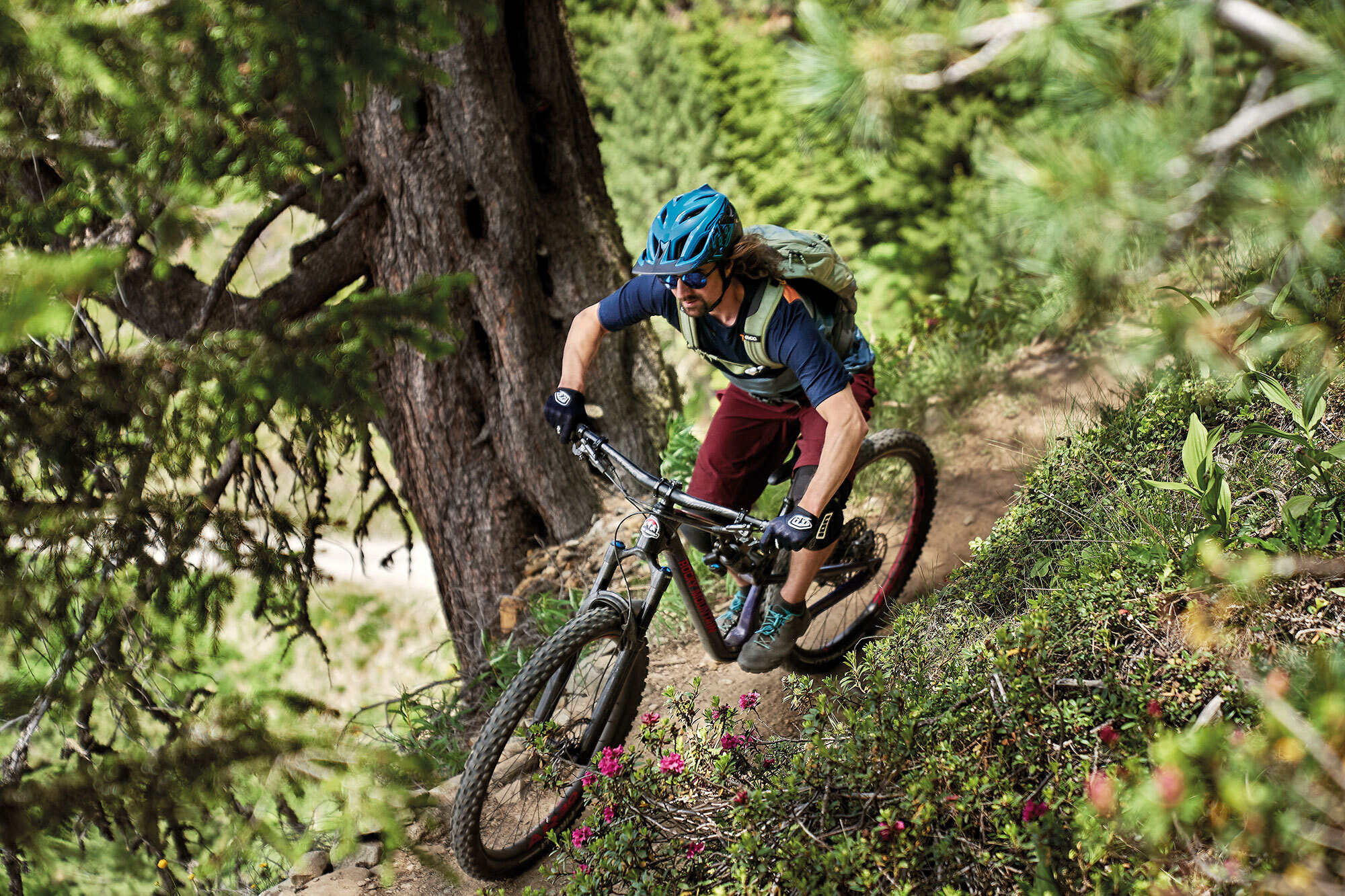 Rocky Mountain   Altitude C70