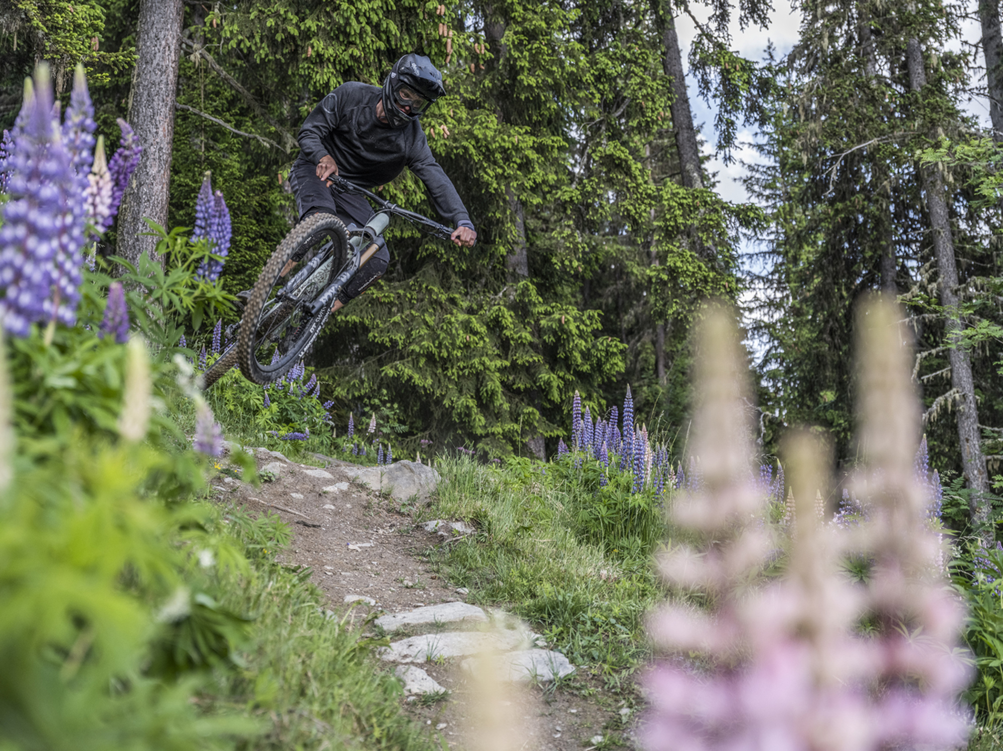 SCOR Neue Schweizer Bikebrand SCOR Neue Schweizer Bikebrand