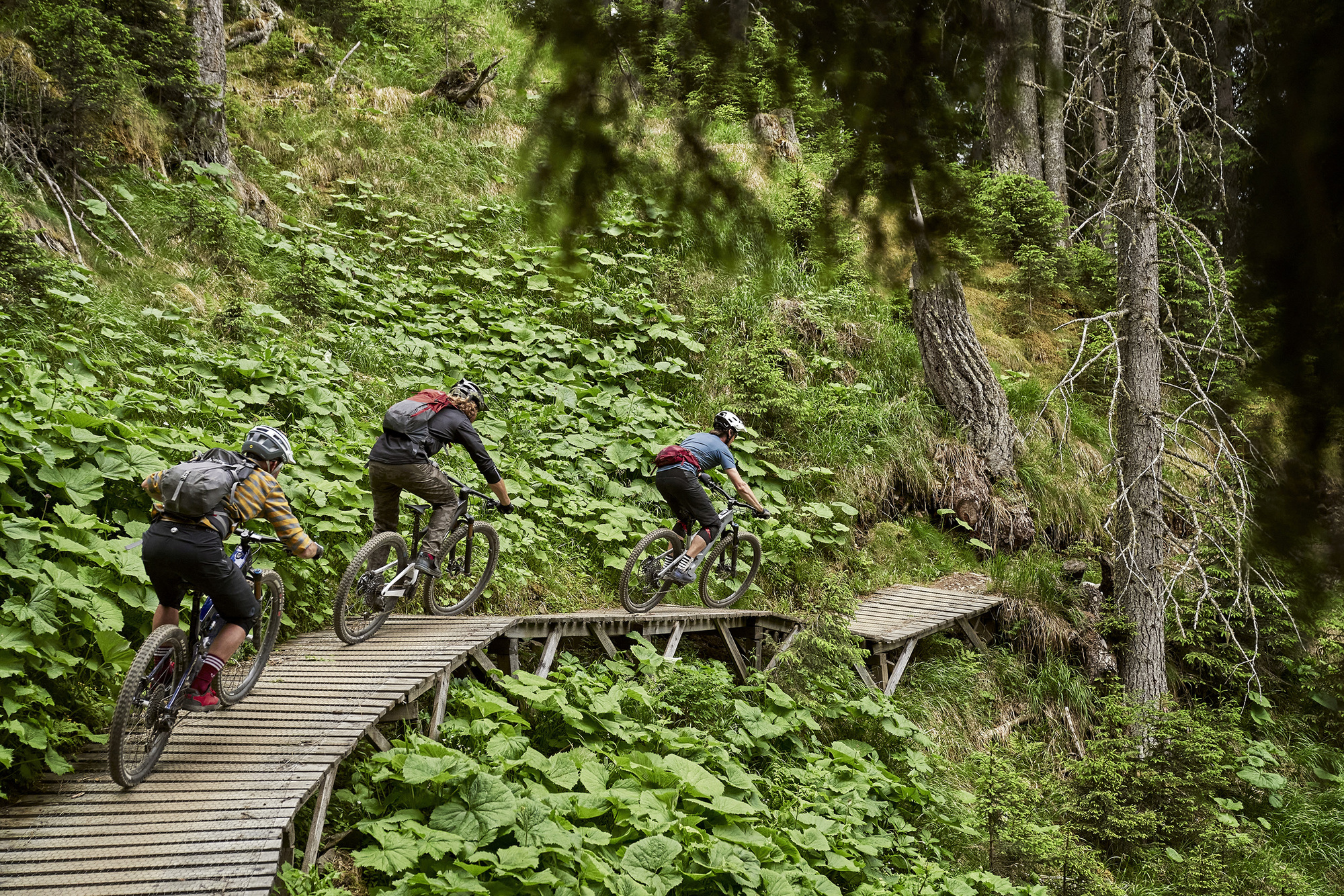 Im Test: 10 MTBs mit und ohne Motor Im Test: 10 MTBs mit und ohne Motor