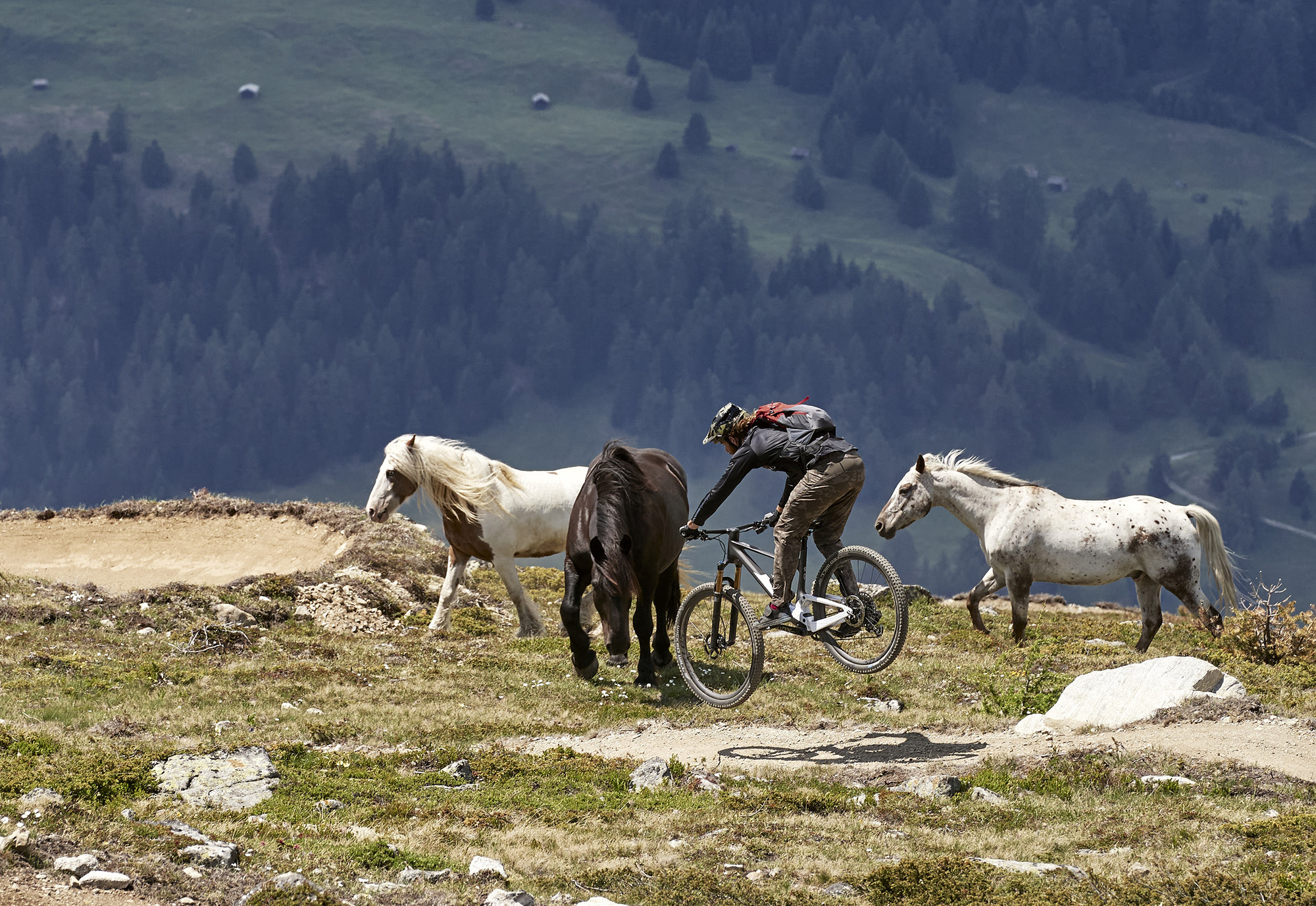 Im Test: 10 MTBs mit und ohne Motor Im Test: 10 MTBs mit und ohne Motor