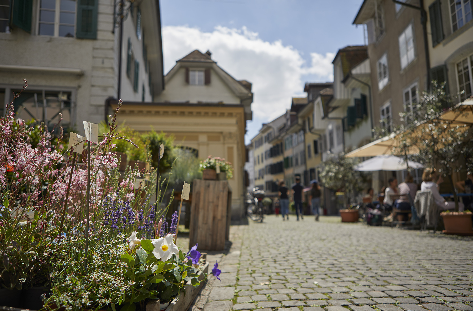 City Ride Solothurn Zwischen Aare und Juratrails City Ride Solothurn Zwischen Aare und Juratrails