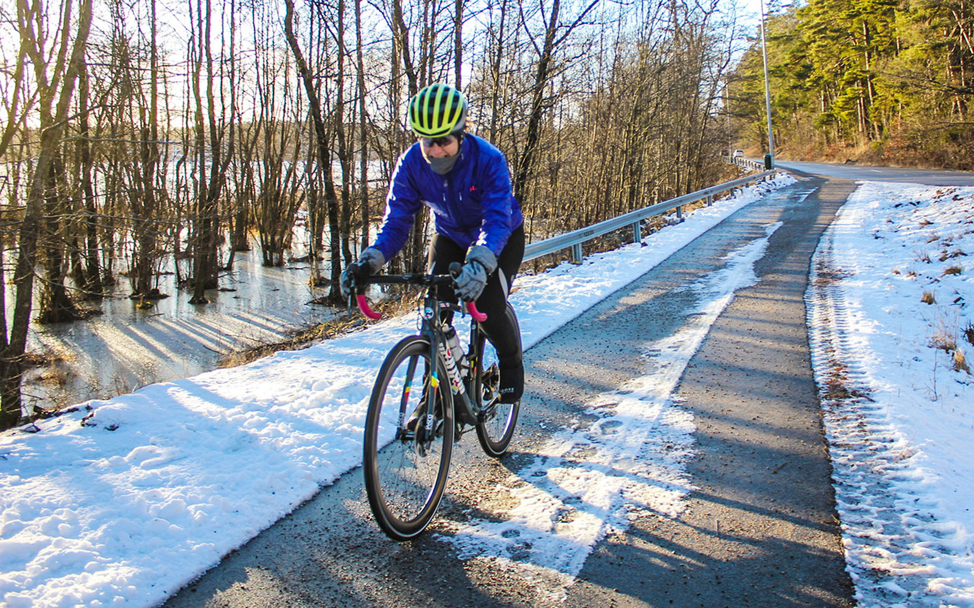 Bike4Tree 2022 Kilometer, 2022 gepflanzte Bäume Bike4Tree 2022 Kilometer, 2022 gepflanzte Bäume