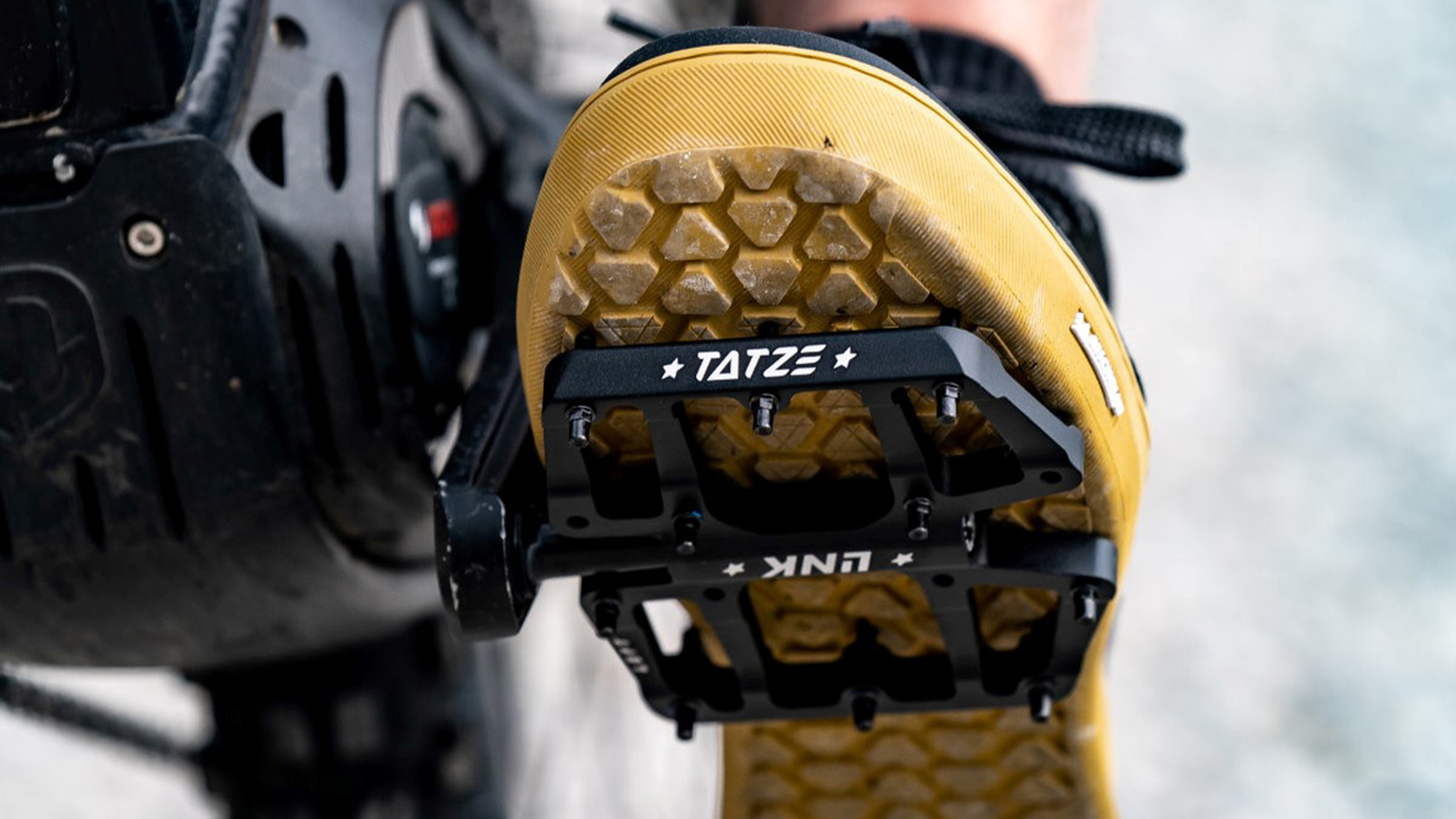 Neue Tatzen für den Trail