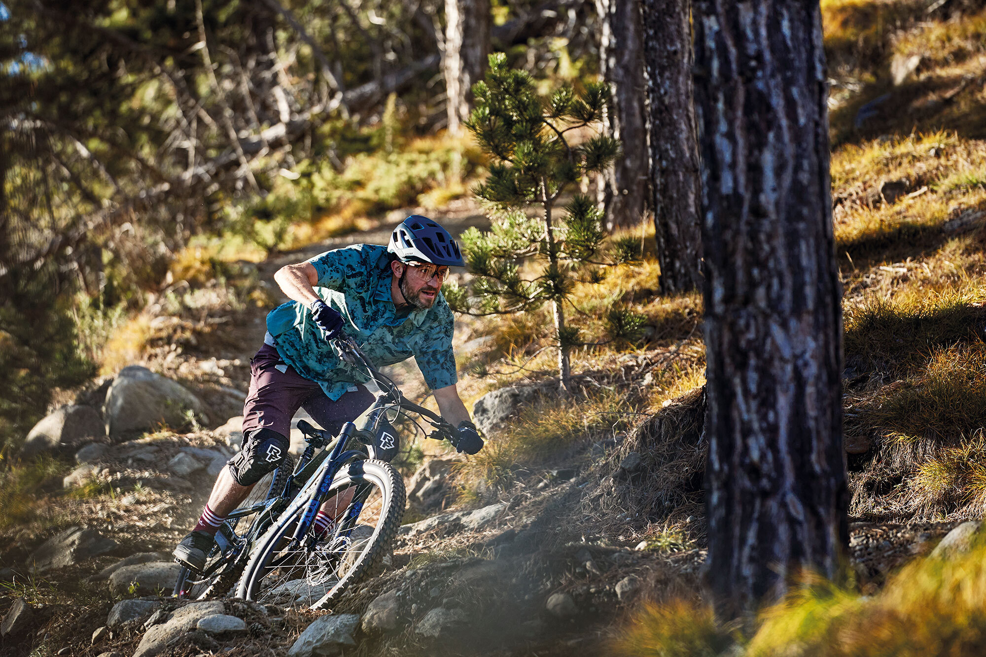 Im Test: Santa Cruz Bronson C 4.0