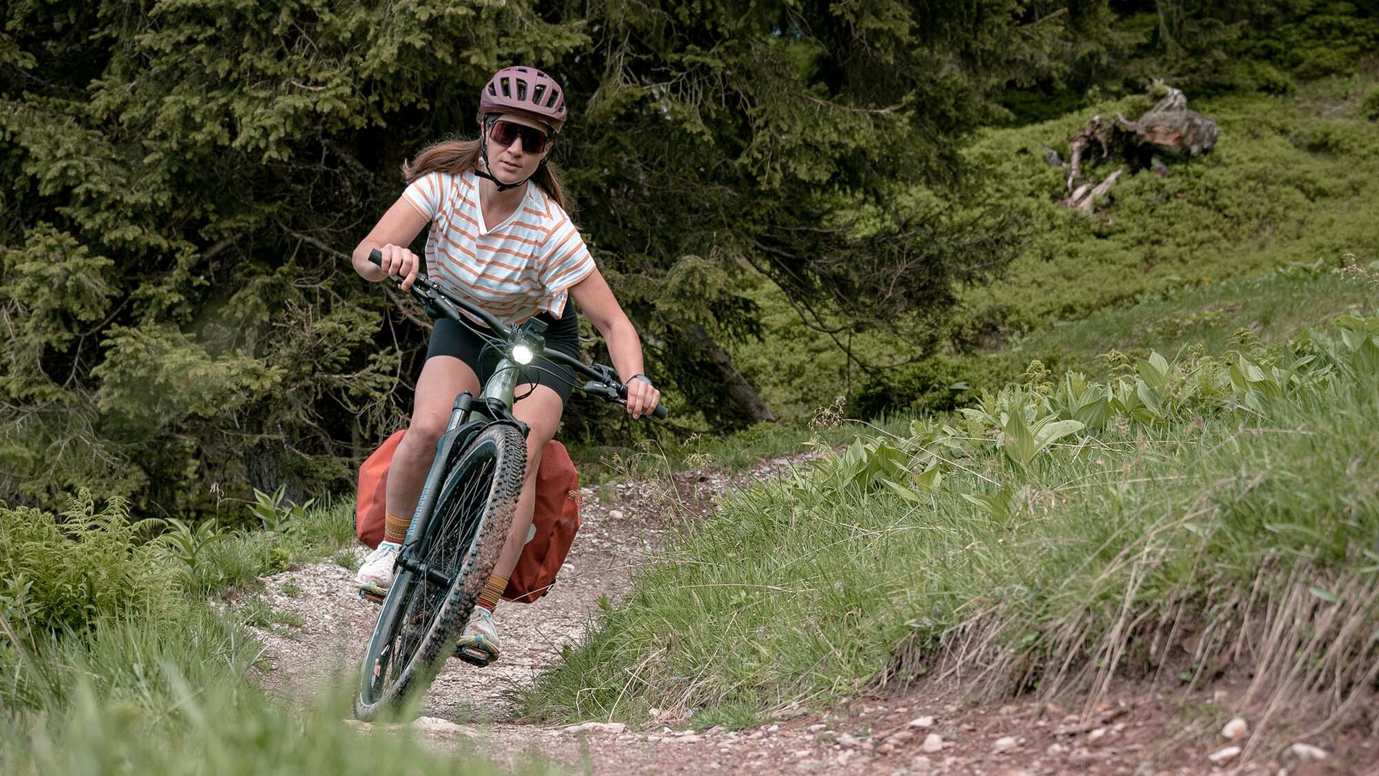 Cannondale Moterra Neo EQ Ein Bike für alles?