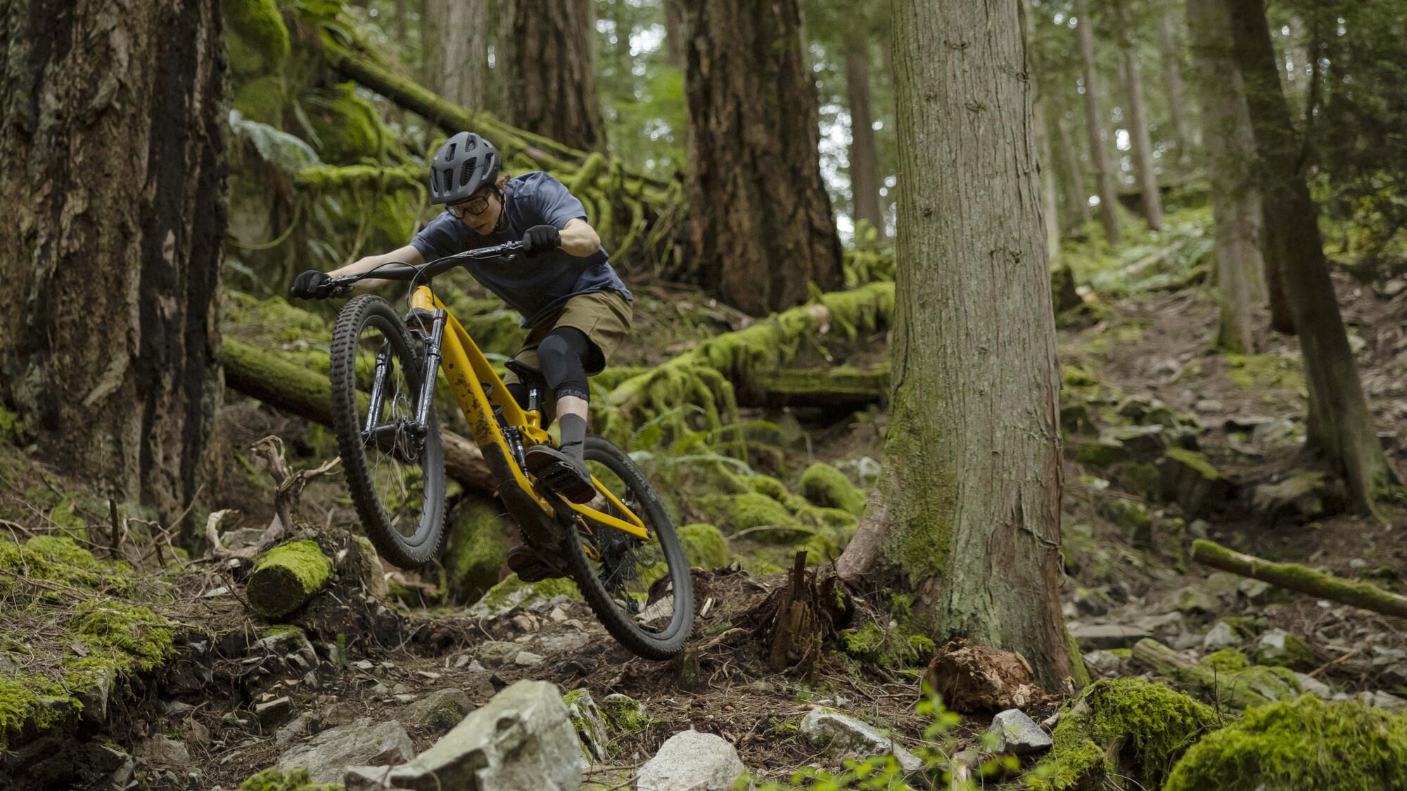 Trek Fuel EXe das Stealth E-Bike Trek Fuel EXe das Stealth E-Bike