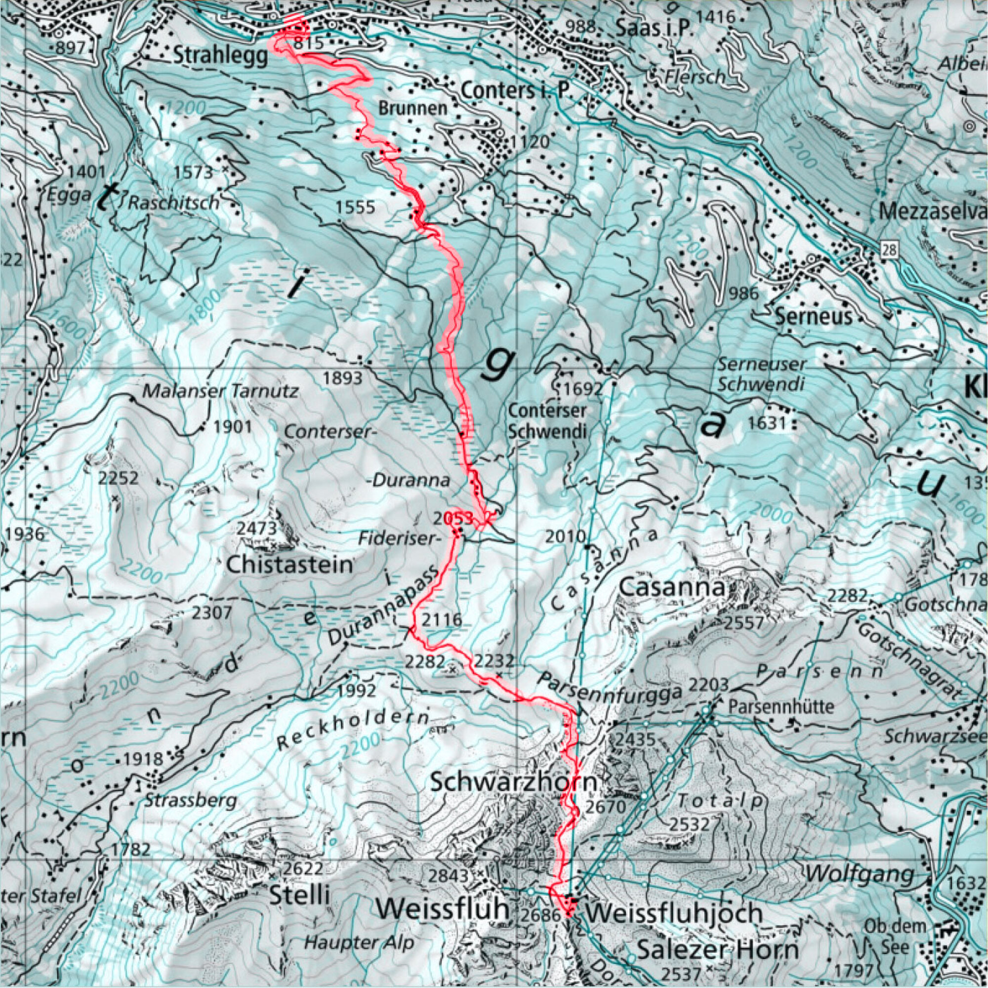 Singletrail Chamäleon
