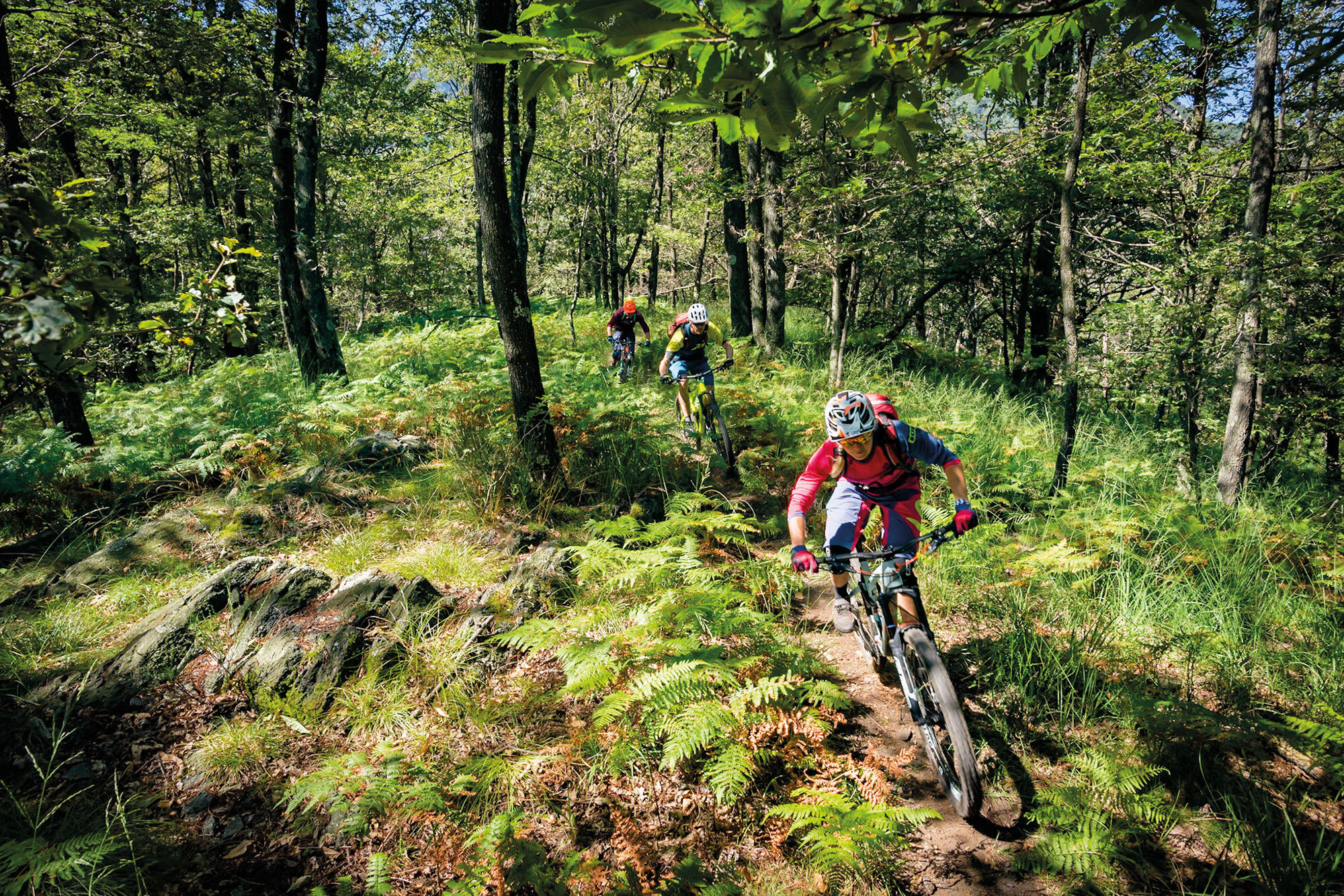 Tessin Kulinarik: Bike, Eat - Repeat Tessin Kulinarik: Bike, Eat - Repeat