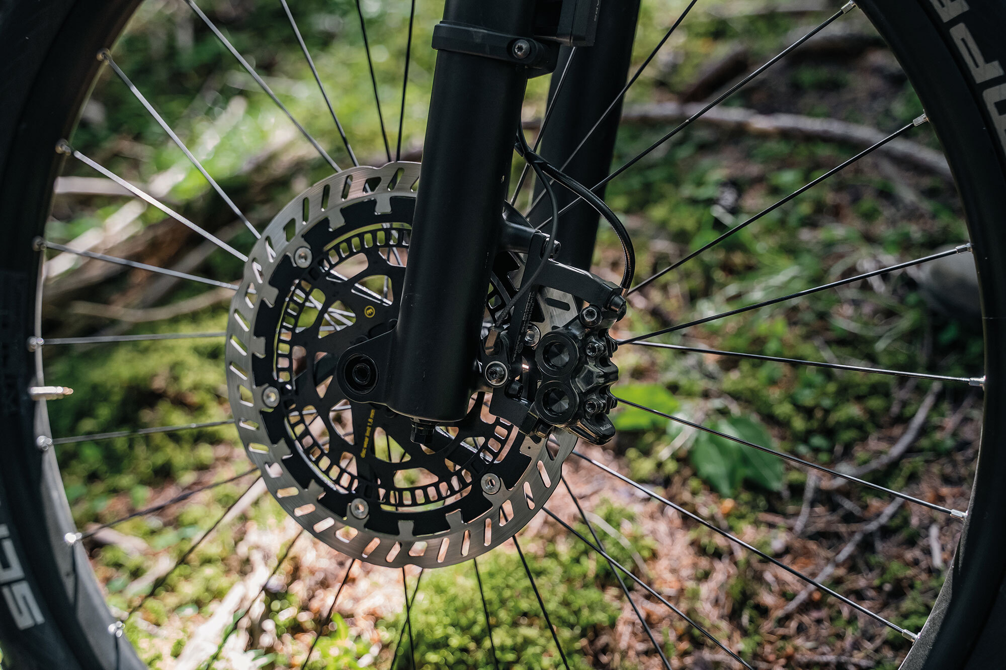 Bosch EMTB-ABS: Schwabenland Connection