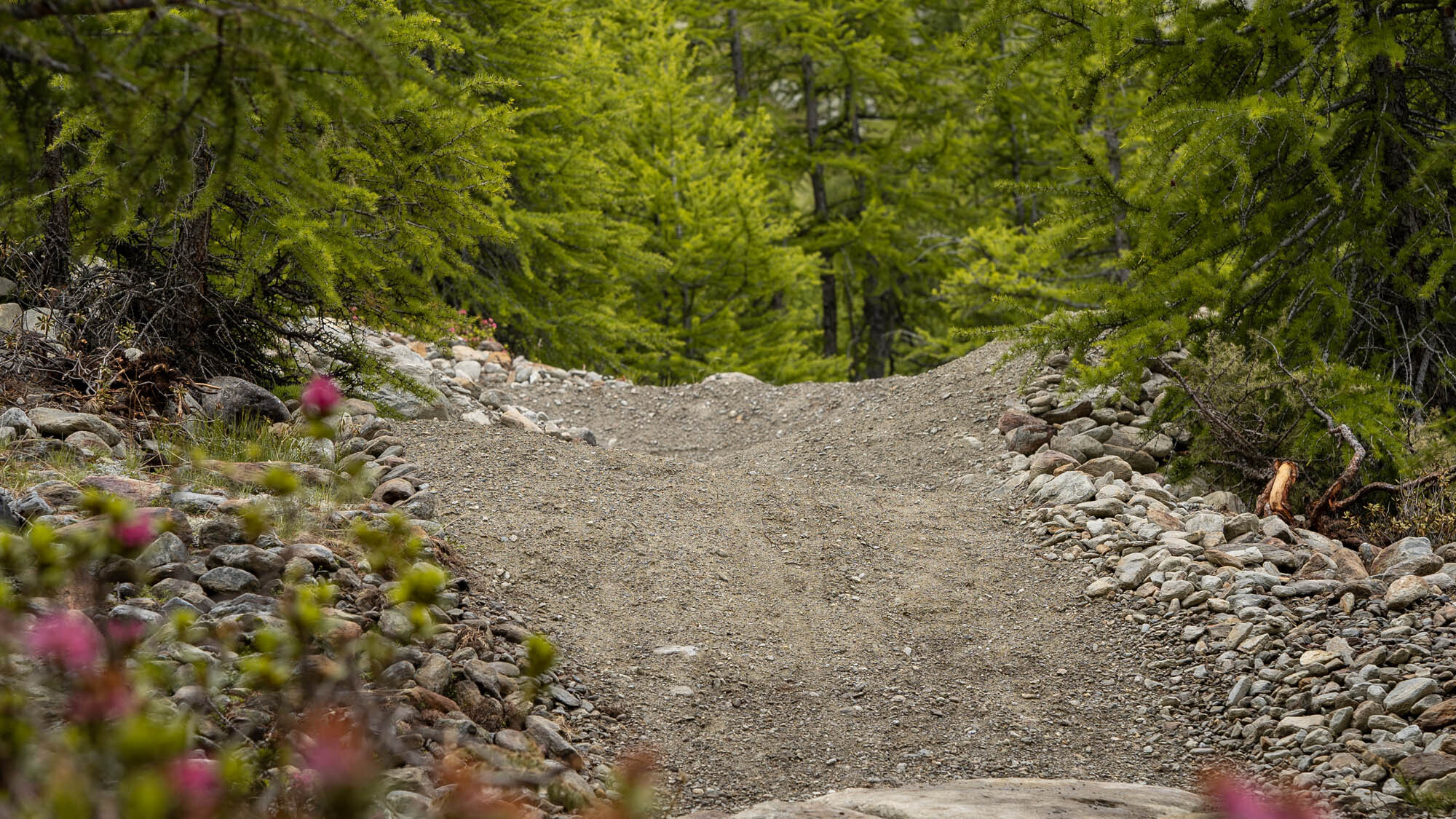 Saas-Fee/Saastal: neuer Flowtrail auf Kreuzboden Saas-Fee/Saastal: neuer Flowtrail auf Kreuzboden
