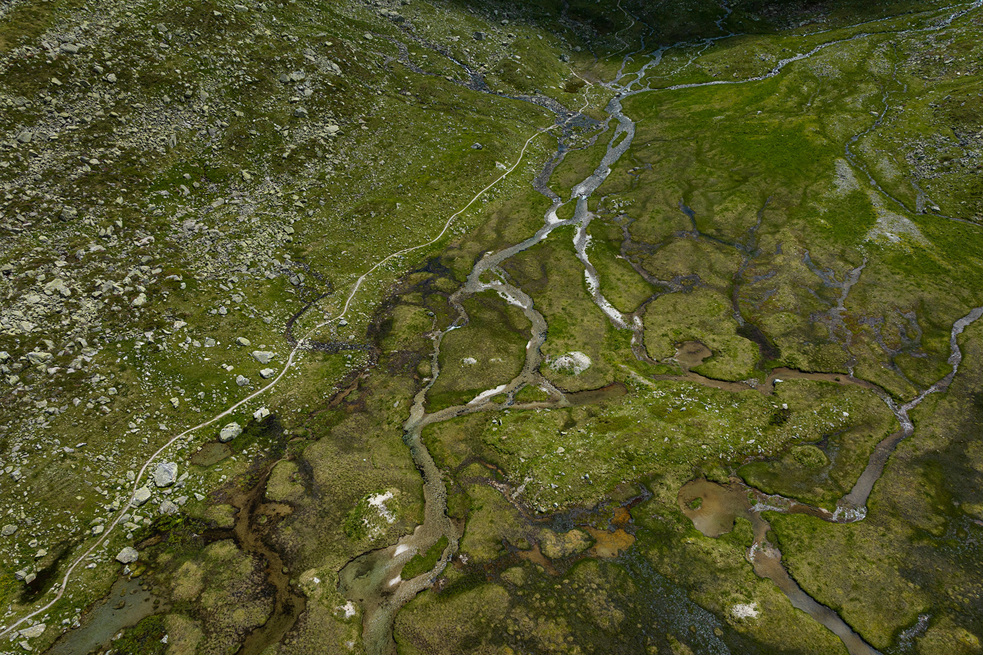 TRAILMATTERS – Filip Zuan TRAILMATTERS – Filip Zuan