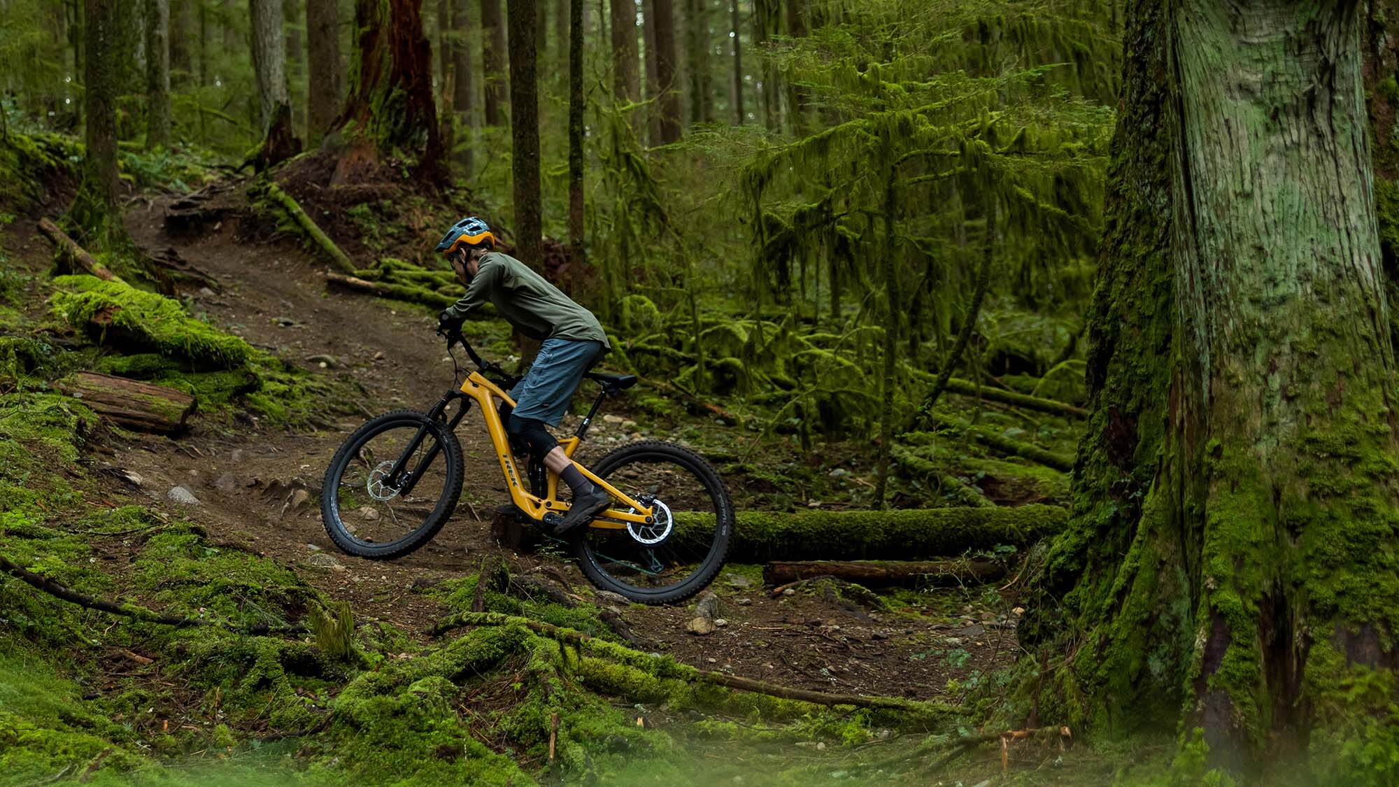 Trek Fuel EXe Weniger ist manchmal mehr Trek Fuel EXe Weniger ist manchmal mehr