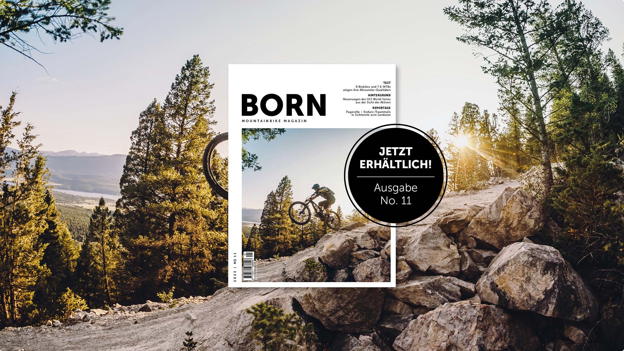 Die neue BORN ist da