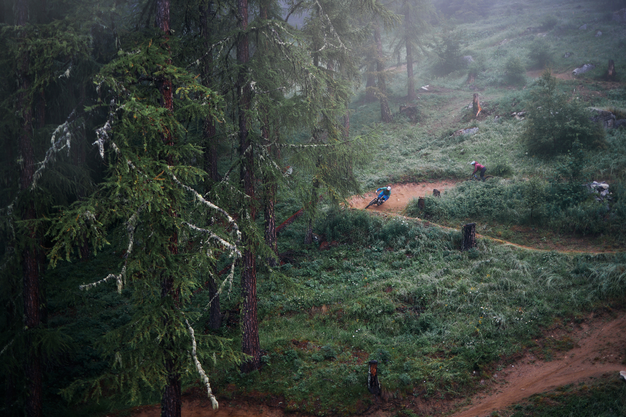 Bikepark Bellwald: Endloser Flow durchs Hochgebirge Bikepark Bellwald: Endloser Flow durchs Hochgebirge