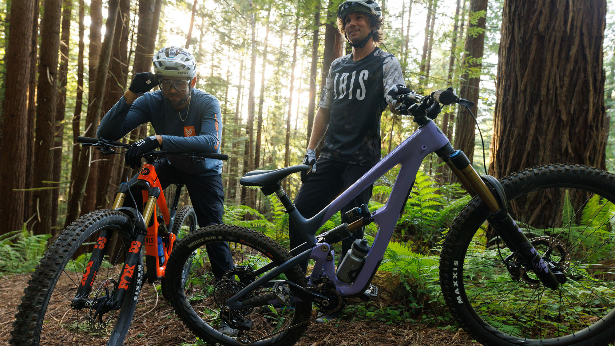 Ibis Mojo HD6