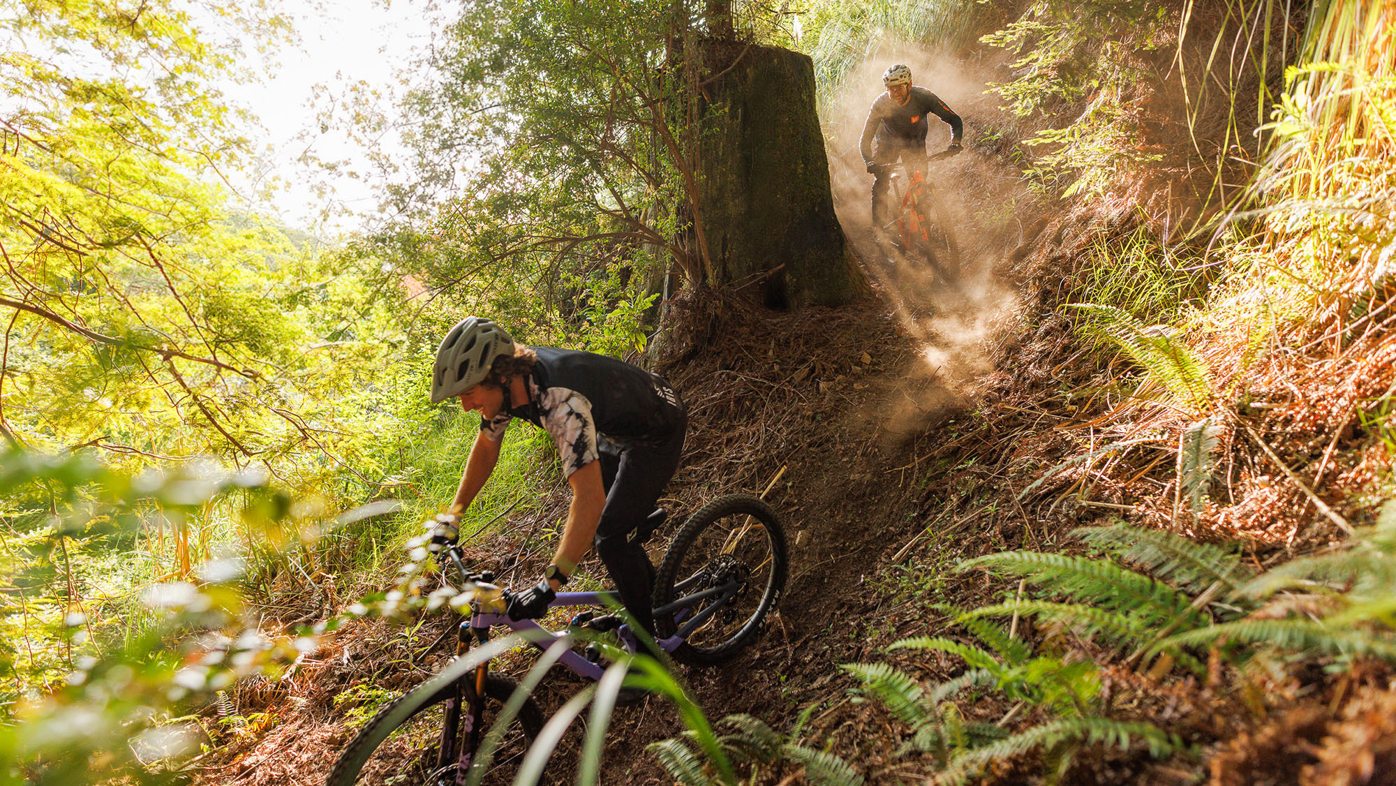 Ibis Mojo HD6
