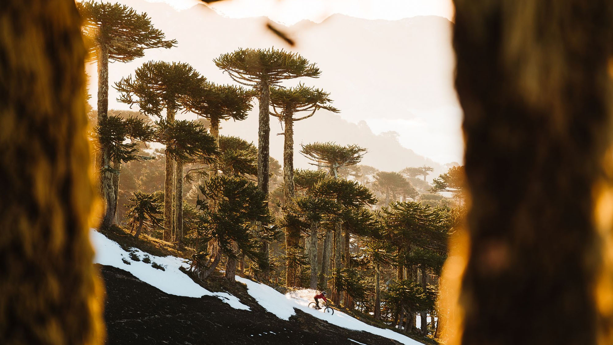Lost in Chile feat. Andreu Lacondeguy Lost in Chile feat. Andreu Lacondeguy