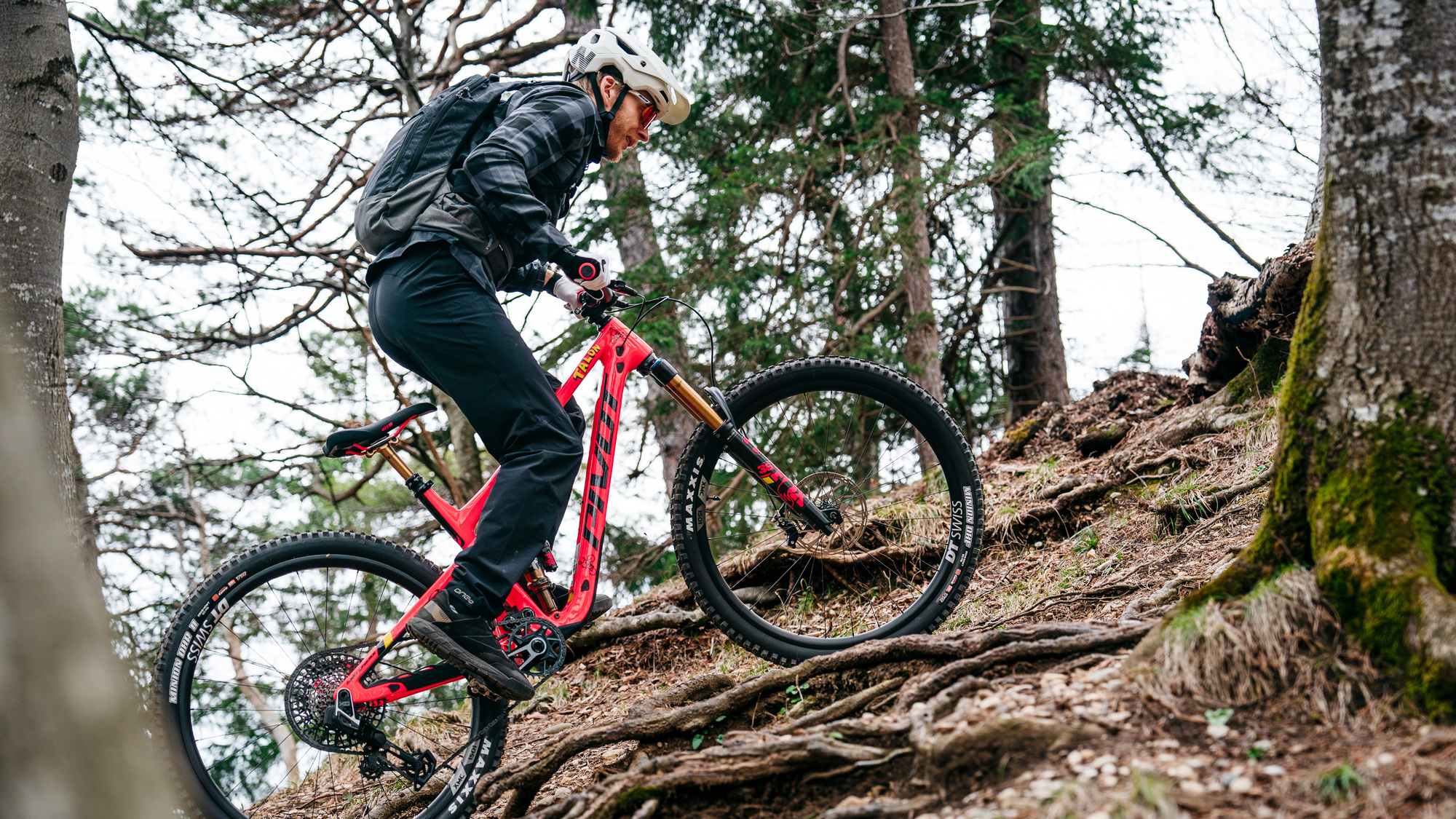 Alleskönner für jedes Gelände: Die besten All-Mountain-Bikes 2025