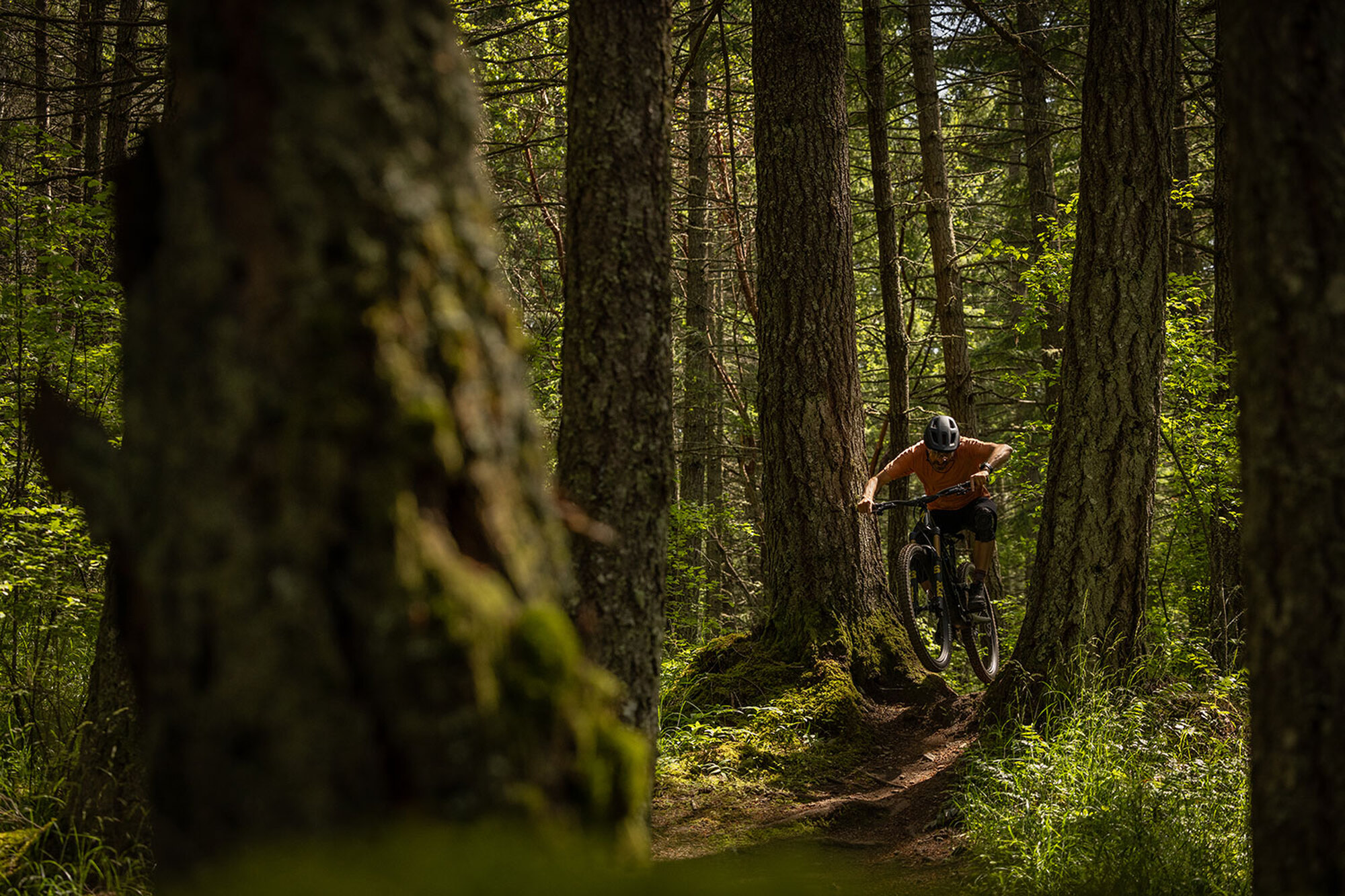 Brandneu: Specialized Stumpjumper 15 Brandneu: Specialized Stumpjumper 15