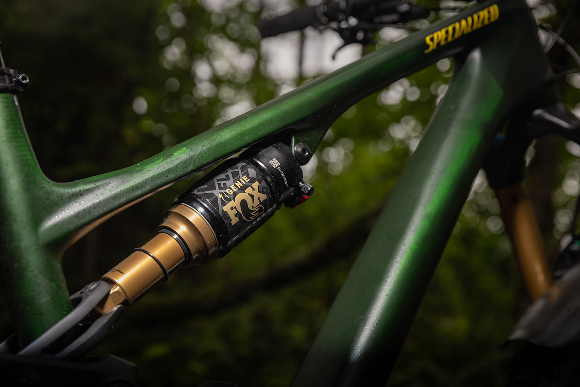 Brandneu: Specialized Stumpjumper 15 Brandneu: Specialized Stumpjumper 15