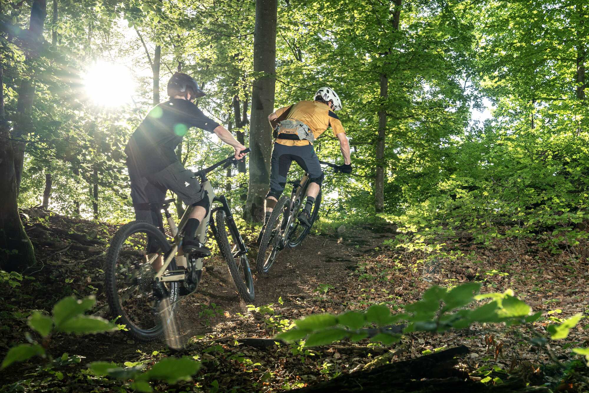 Minimal-Assist vs. Full-Power E-Mountainbikes Minimal-Assist vs. Full-Power E-Mountainbikes